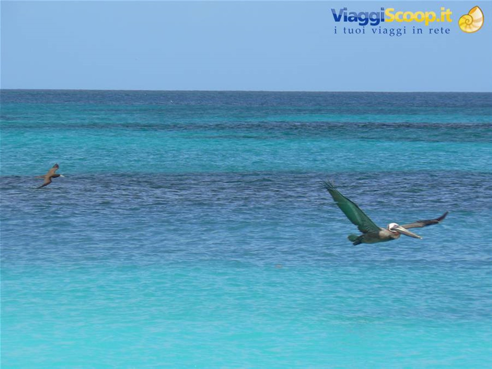 Foto di viaggio in ANGUILLA