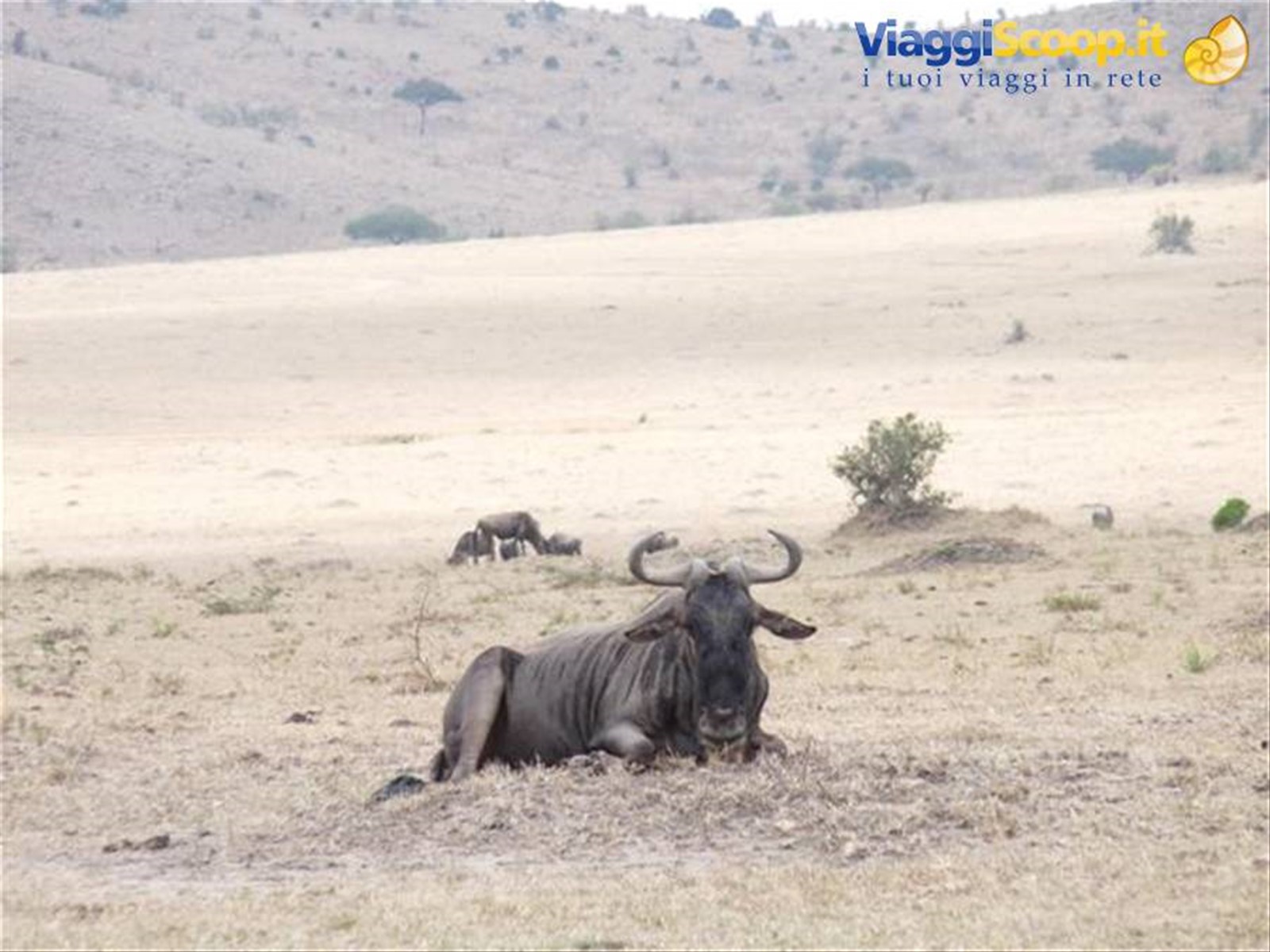 Foto di viaggio in KENYA