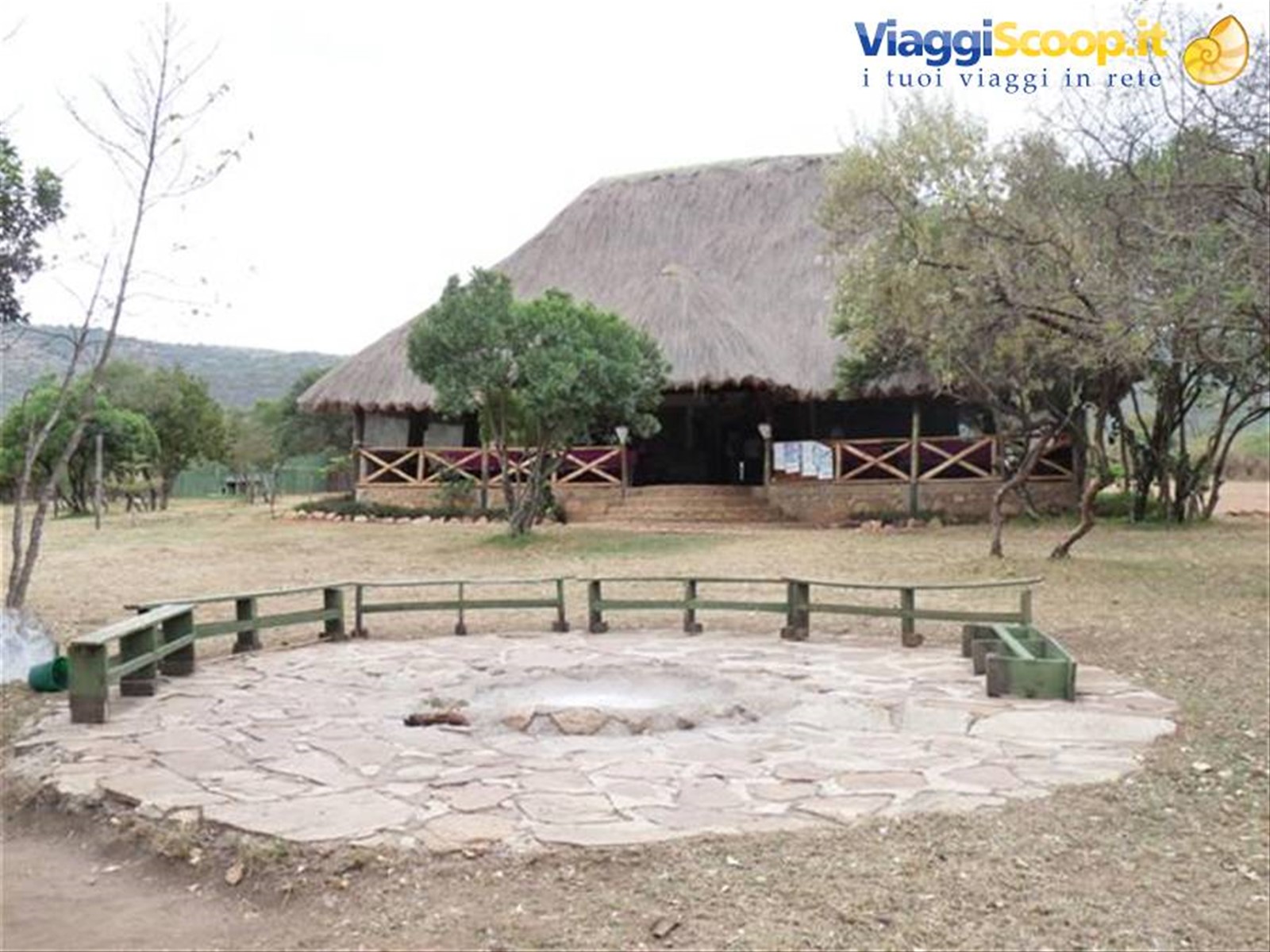 Acacia Camp
