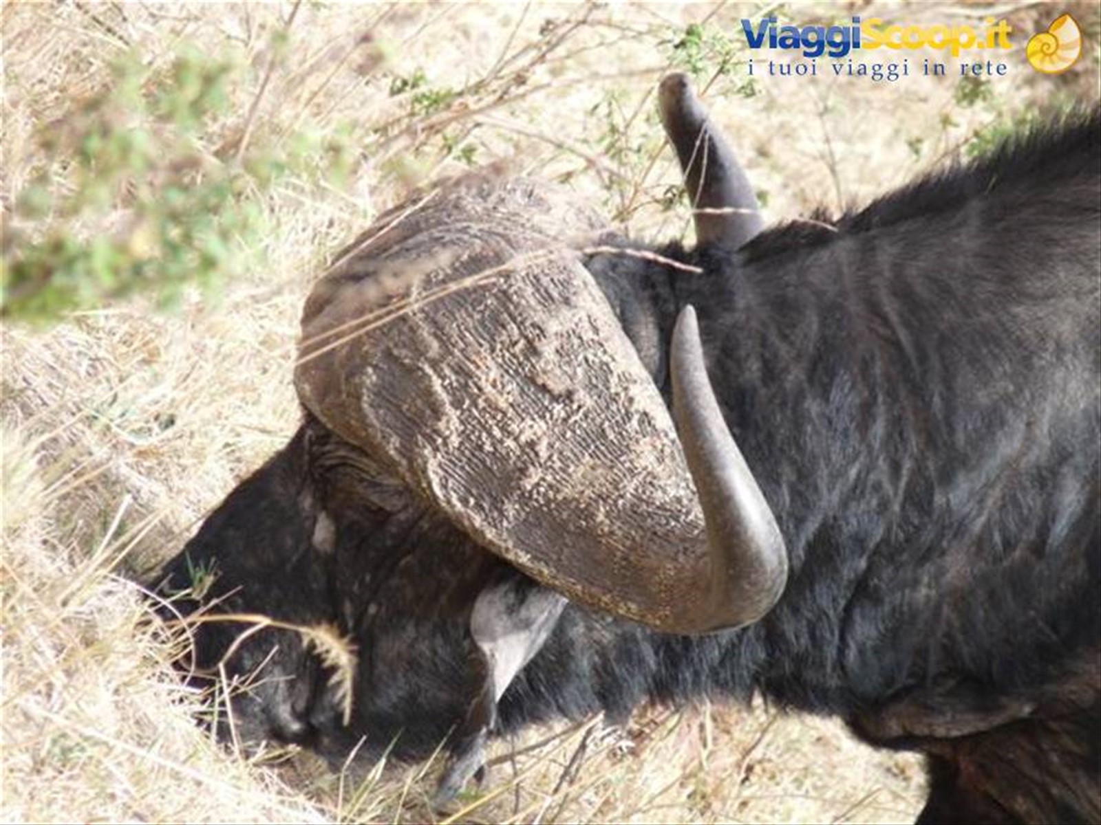 Foto di viaggio in KENYA