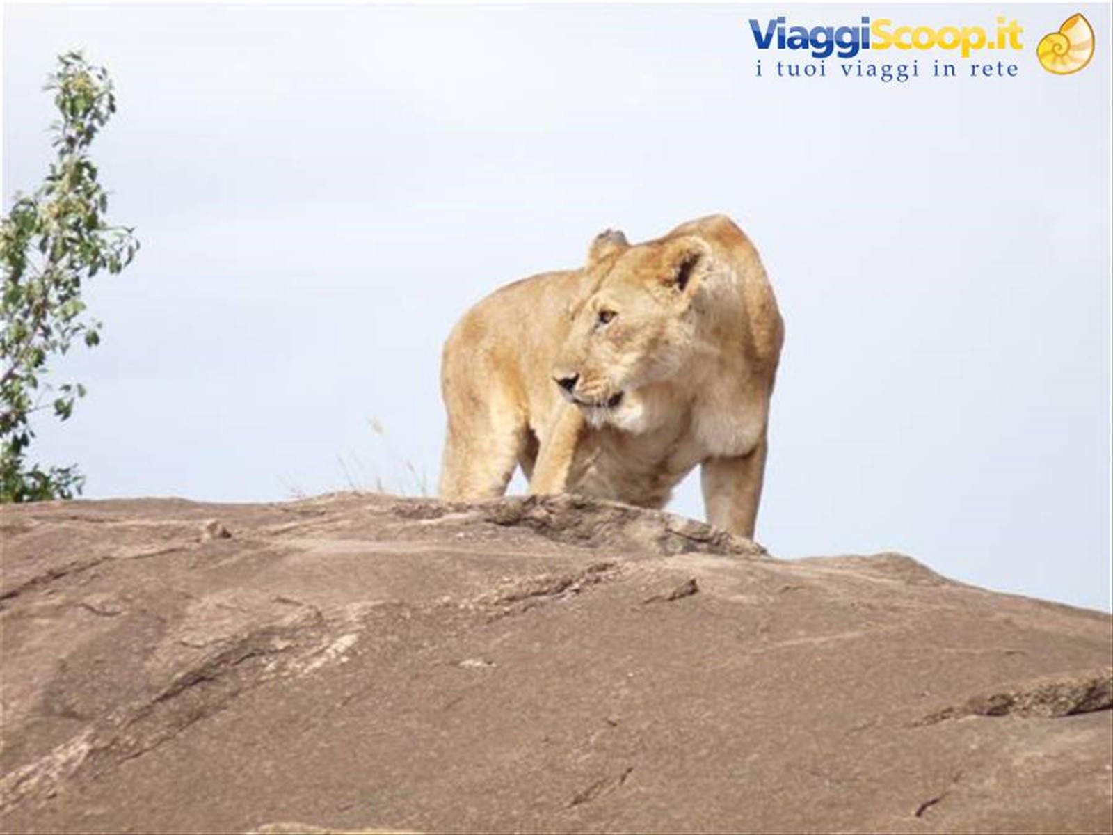 Foto di viaggio in KENYA