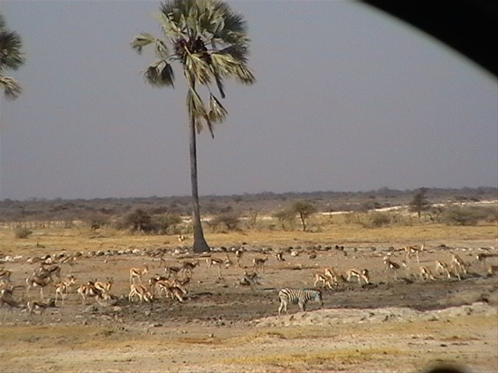Foto di viaggio in SUD AFRICA