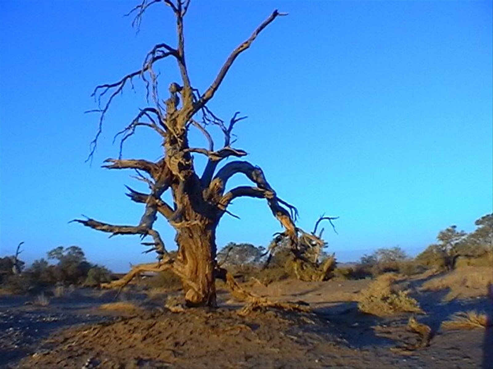 Foto di viaggio in NAMIBIA
