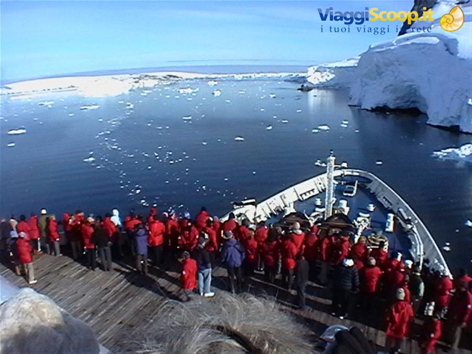 Foto di viaggio in ANTARTICA
