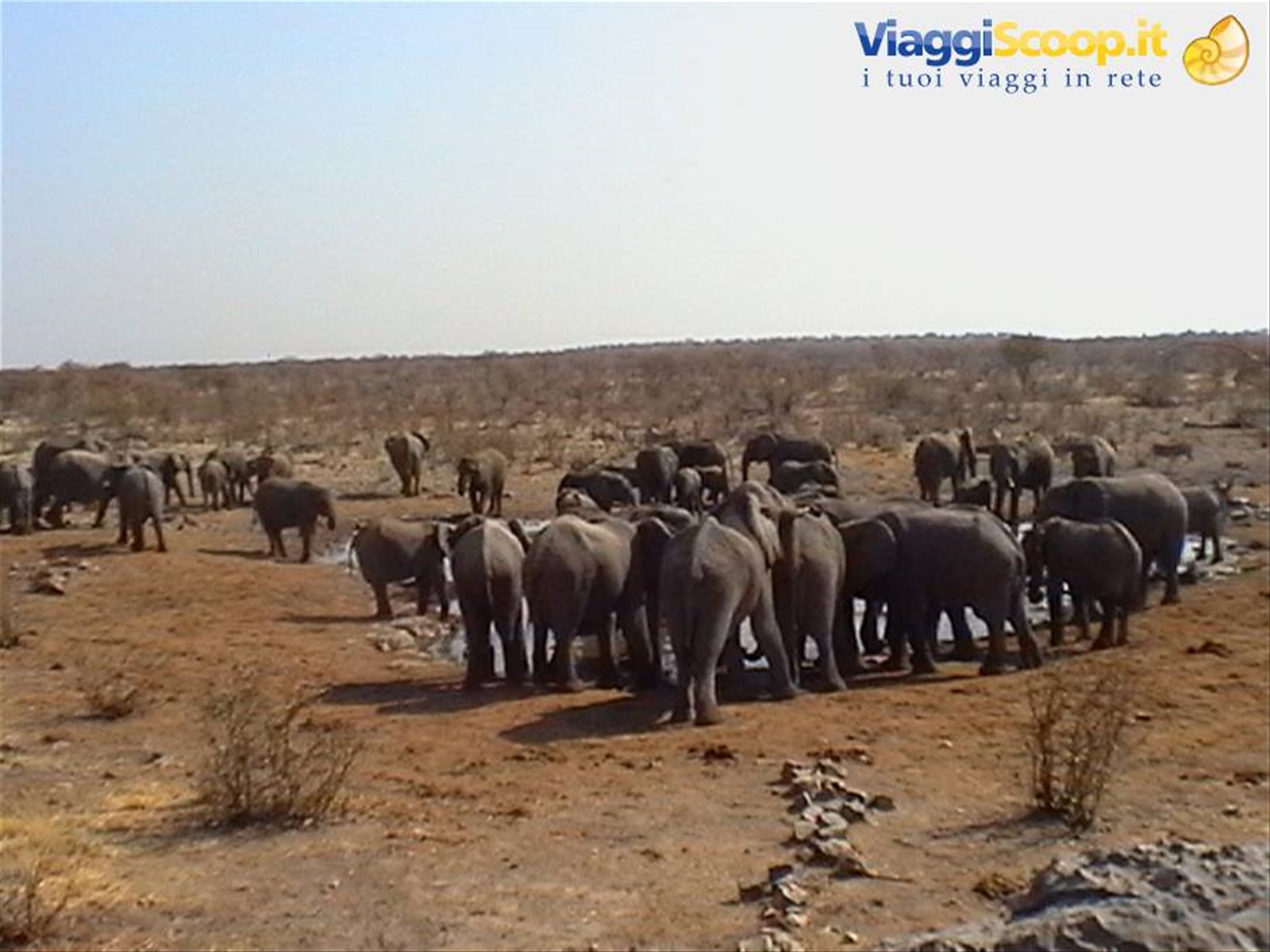 Foto di viaggio in NAMIBIA