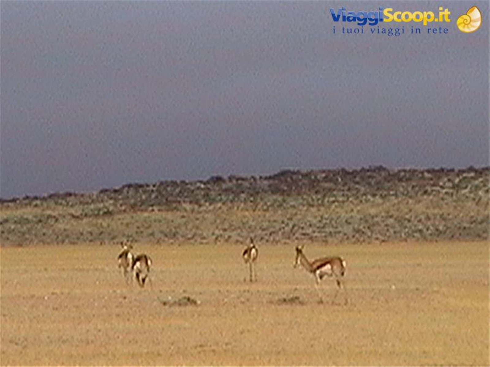 Foto di viaggio in NAMIBIA