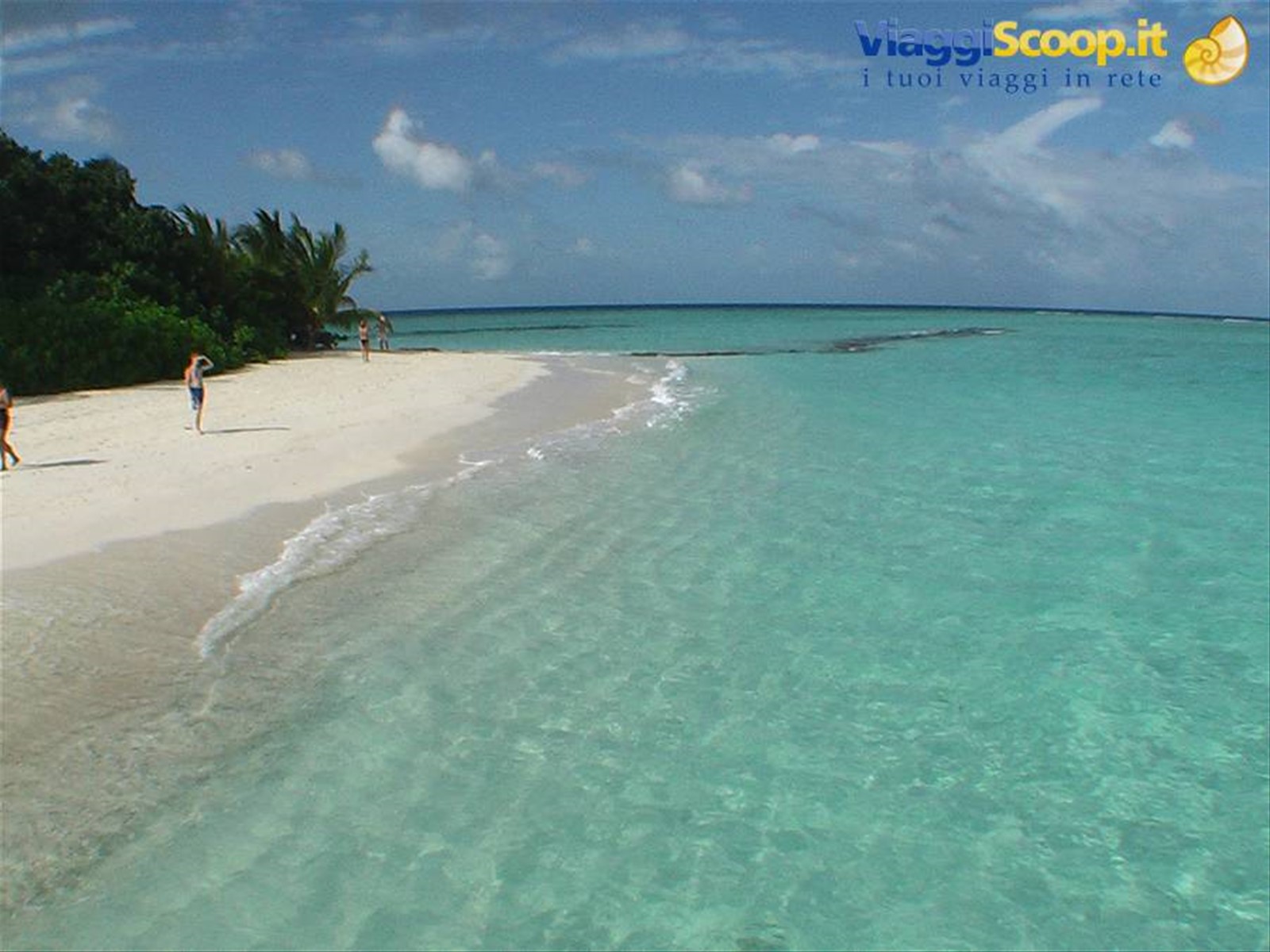 Le Bahamas di Daniele Somenzi (2° volta)