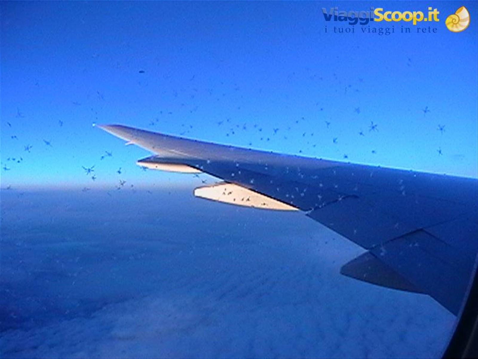 Foto di viaggio in NUOVA ZELANDA