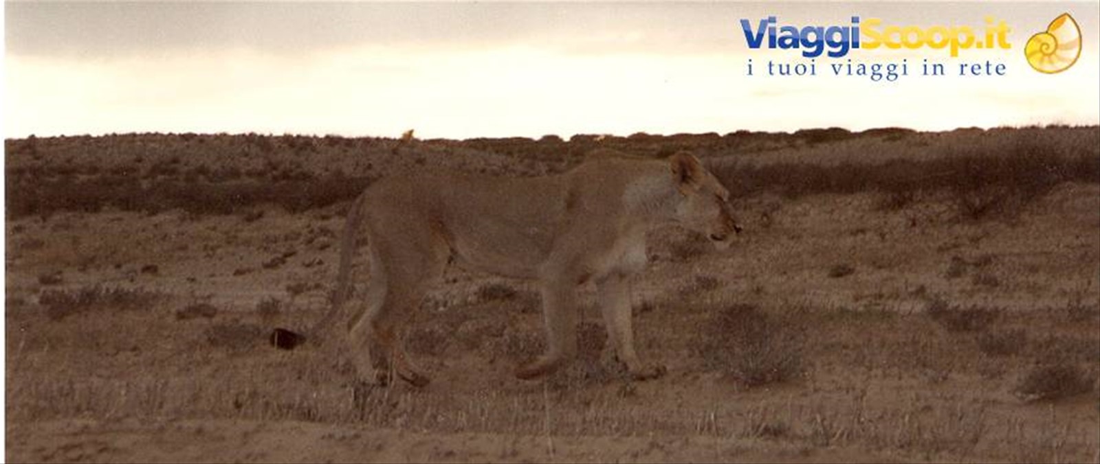 Foto di viaggio in SUD AFRICA