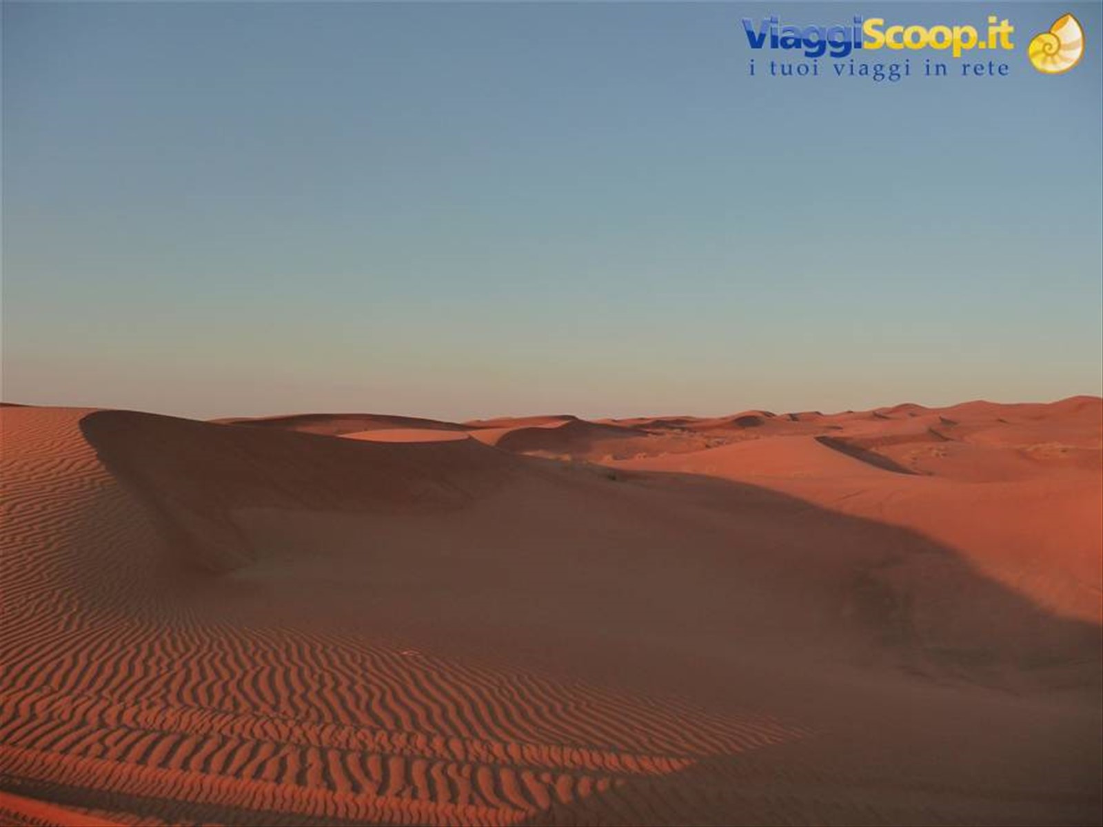 DESERT SAFARI