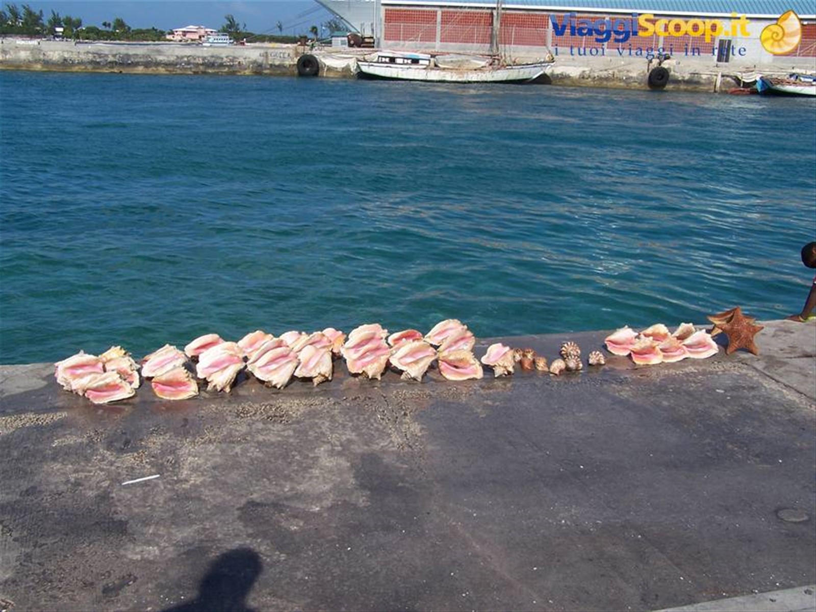 Foto di viaggio in BAHAMAS