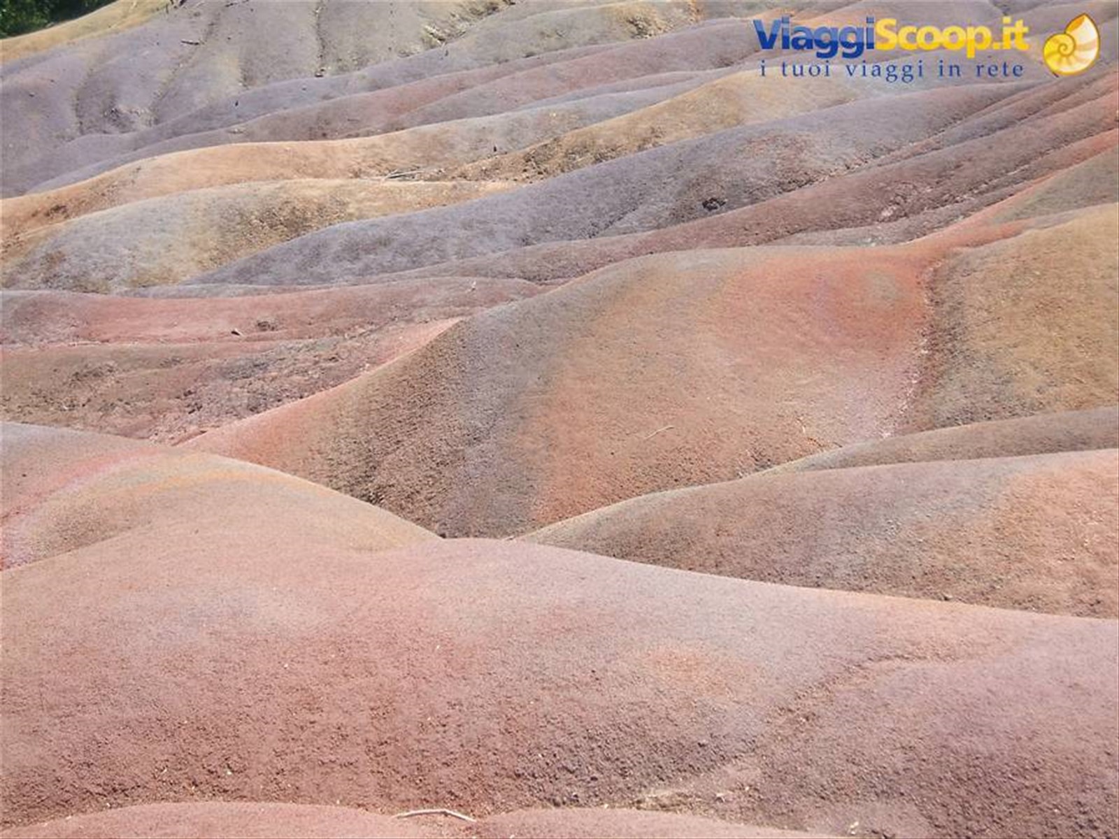 7 terre colorate
