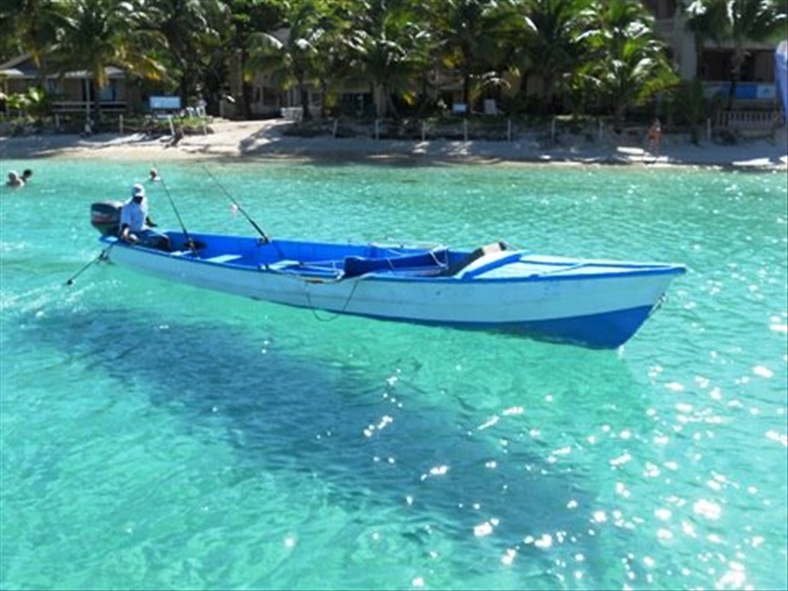 www.born2travel.it