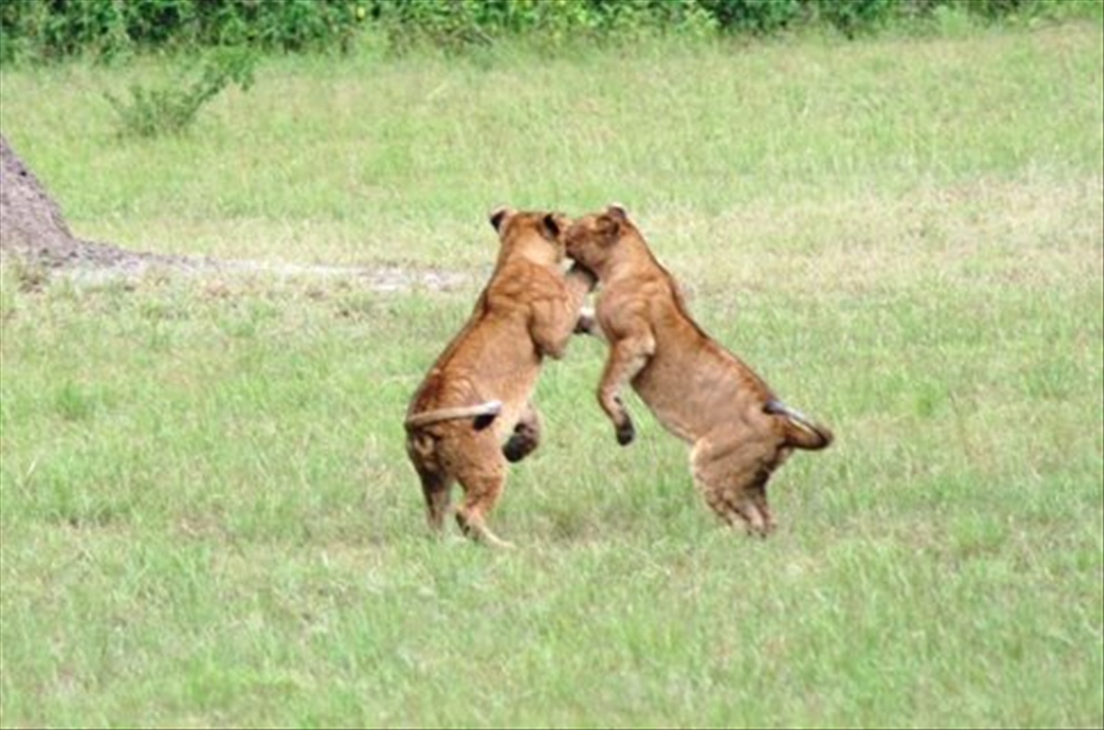 http://www.born2travel.it/