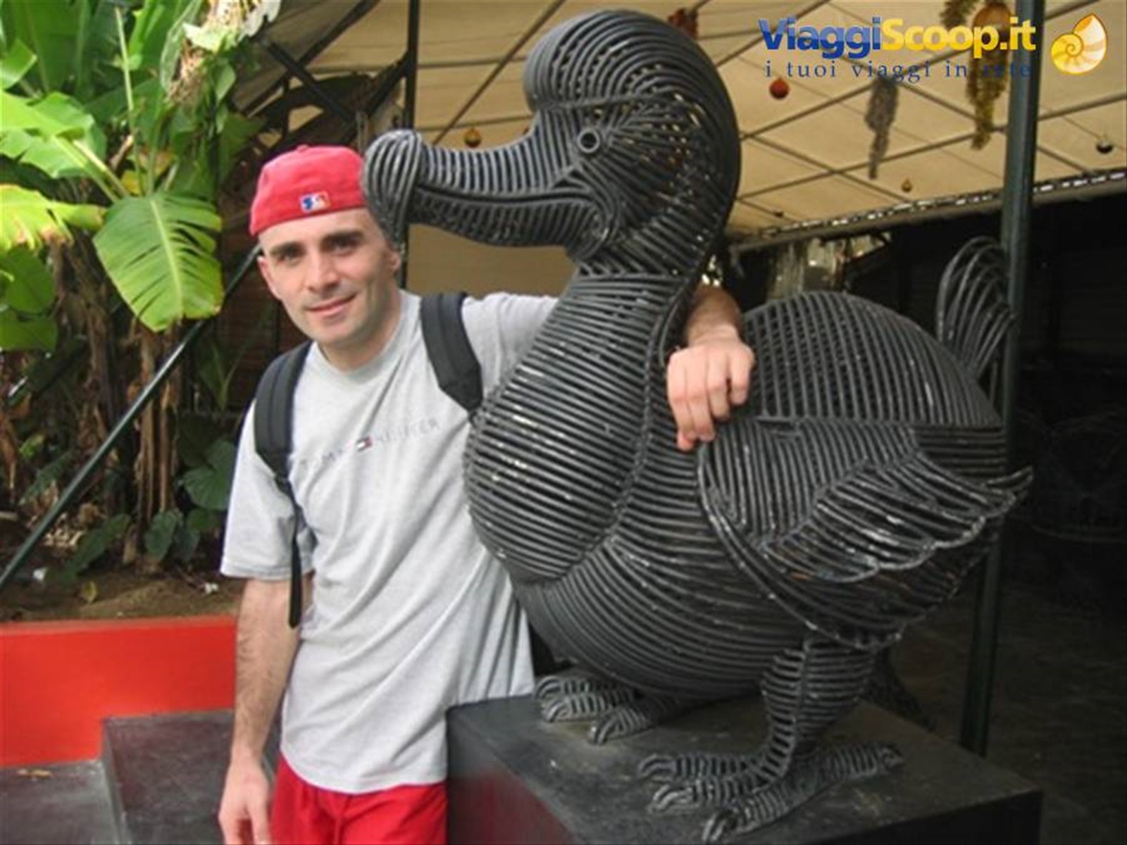 Foto di viaggio in MAURITIUS