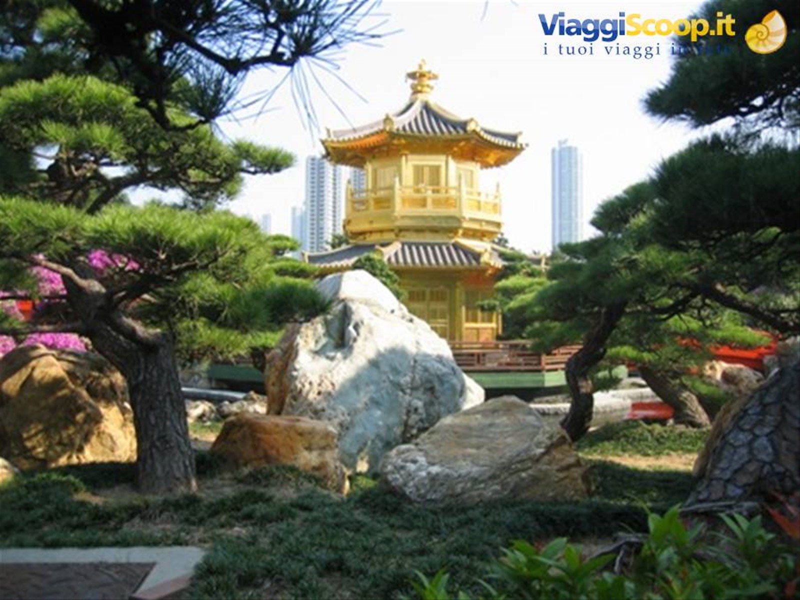Foto di viaggio in HONG KONG