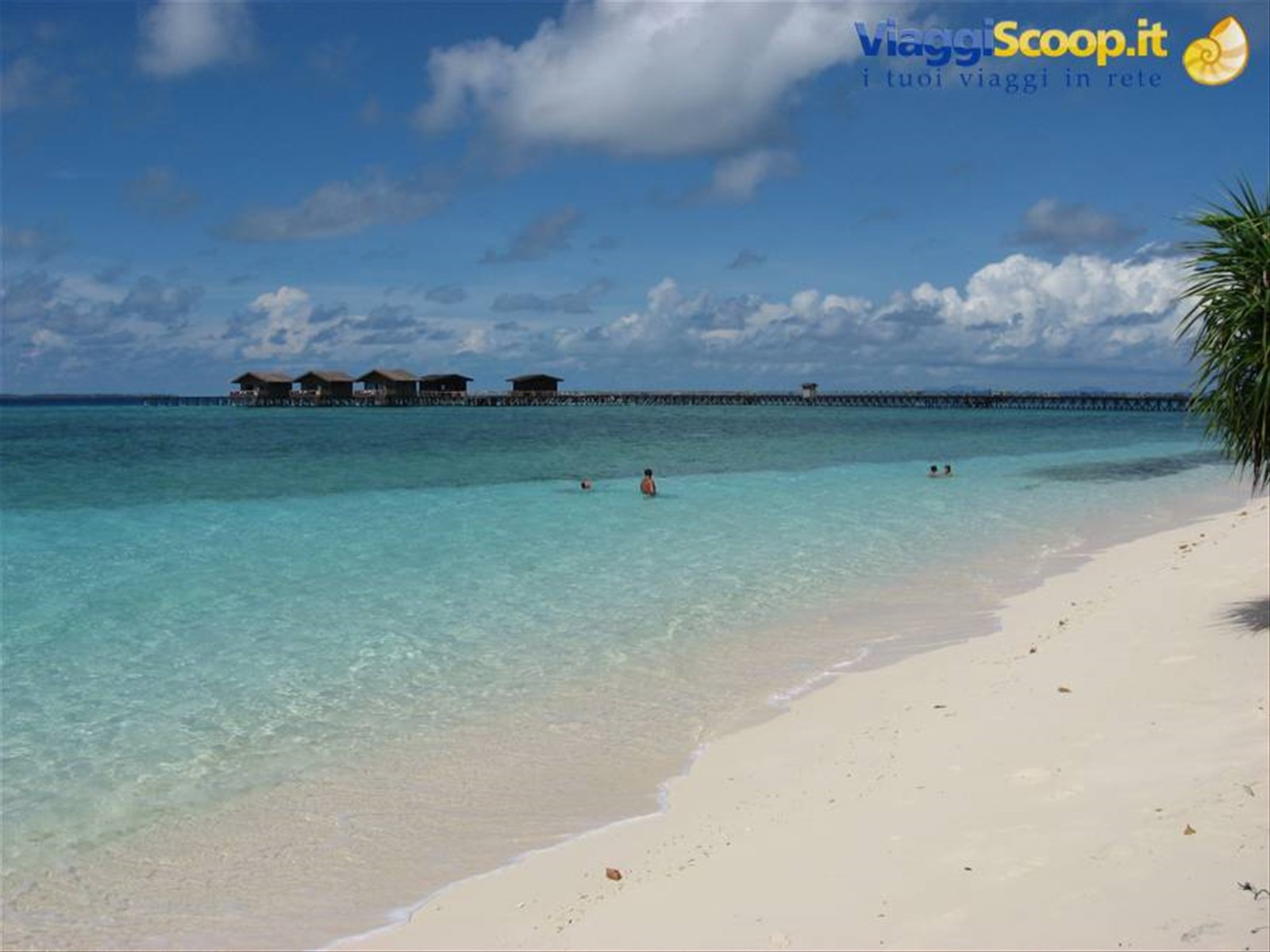 Pom Pom spiaggia