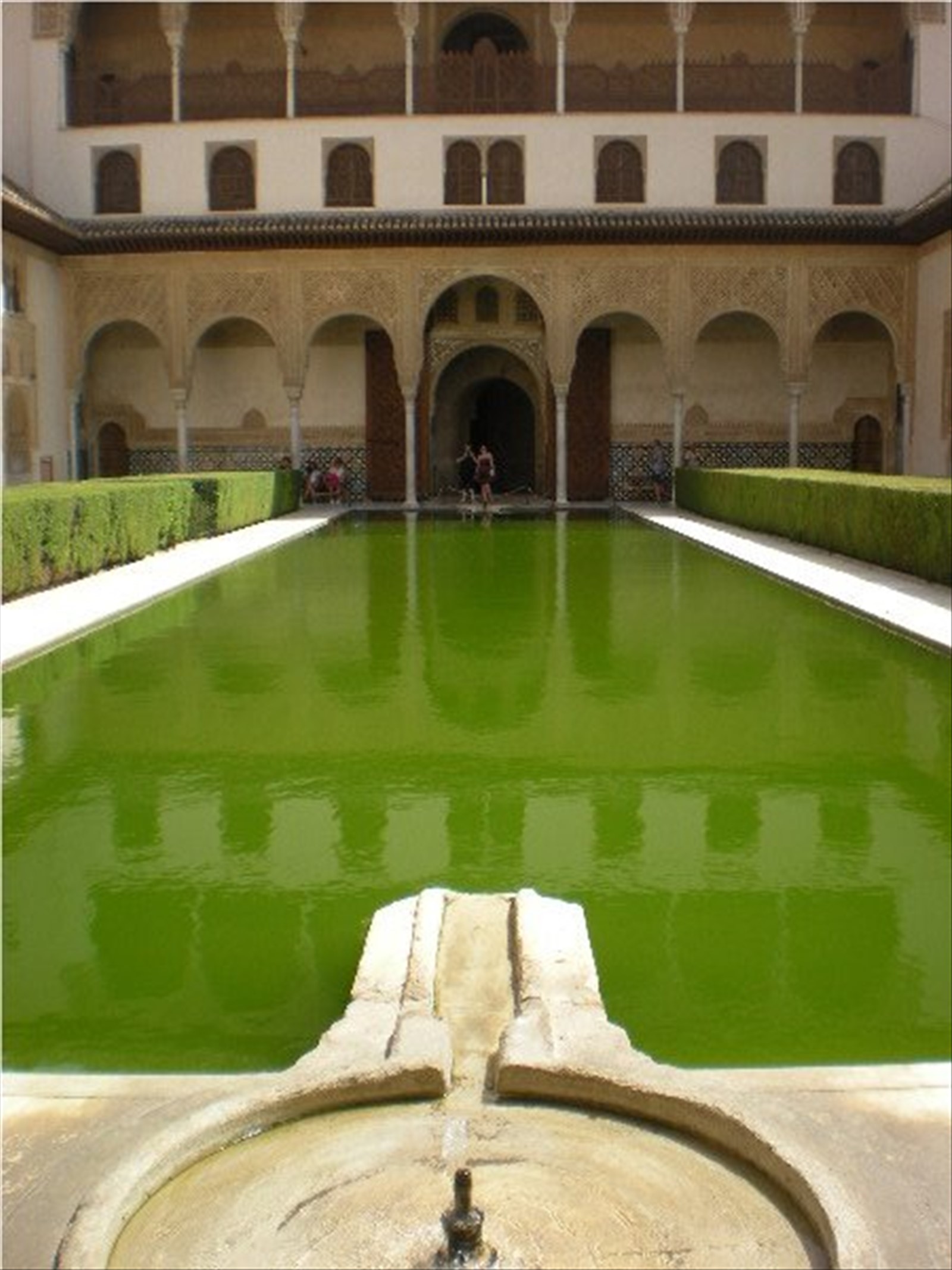 Alhambra - Palazzi Nasridi