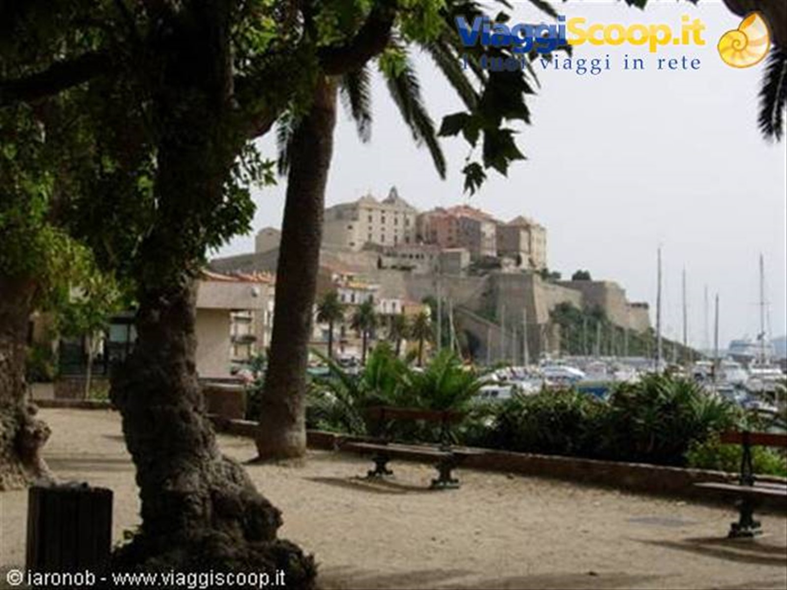 Calvi