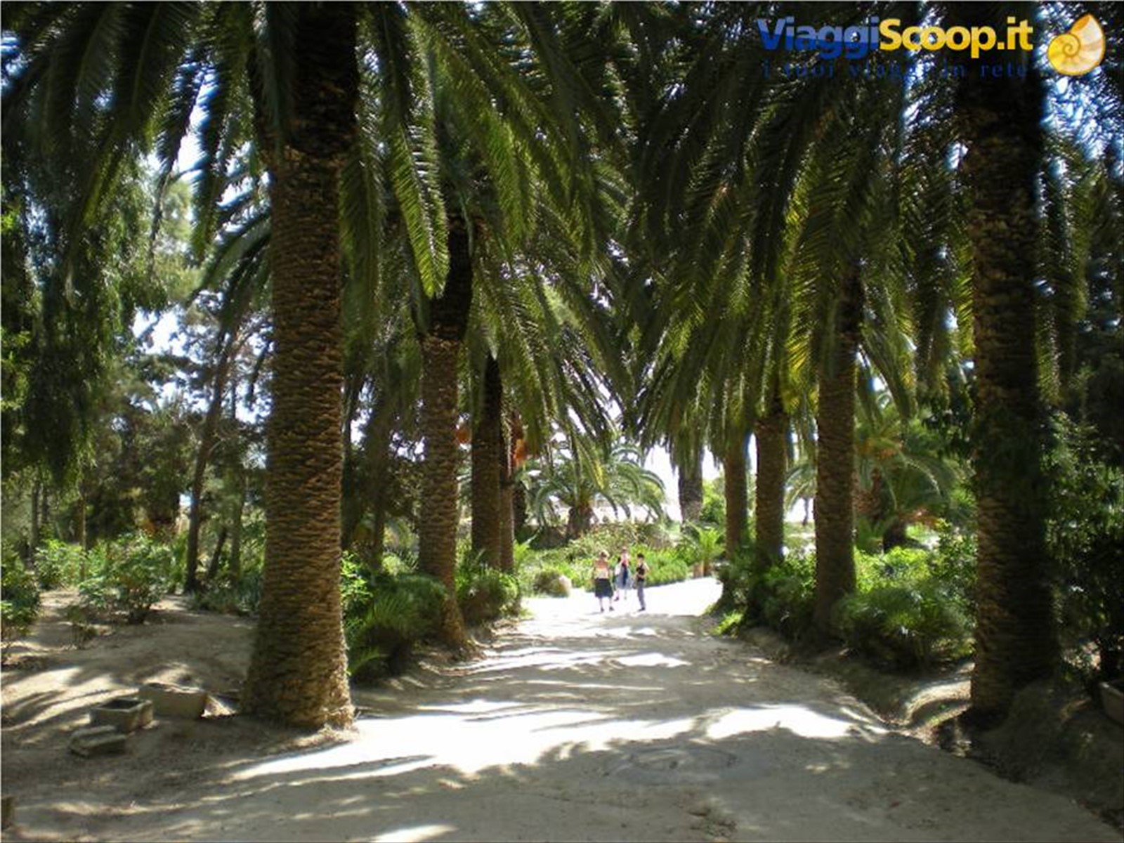 Cartagine - giardini