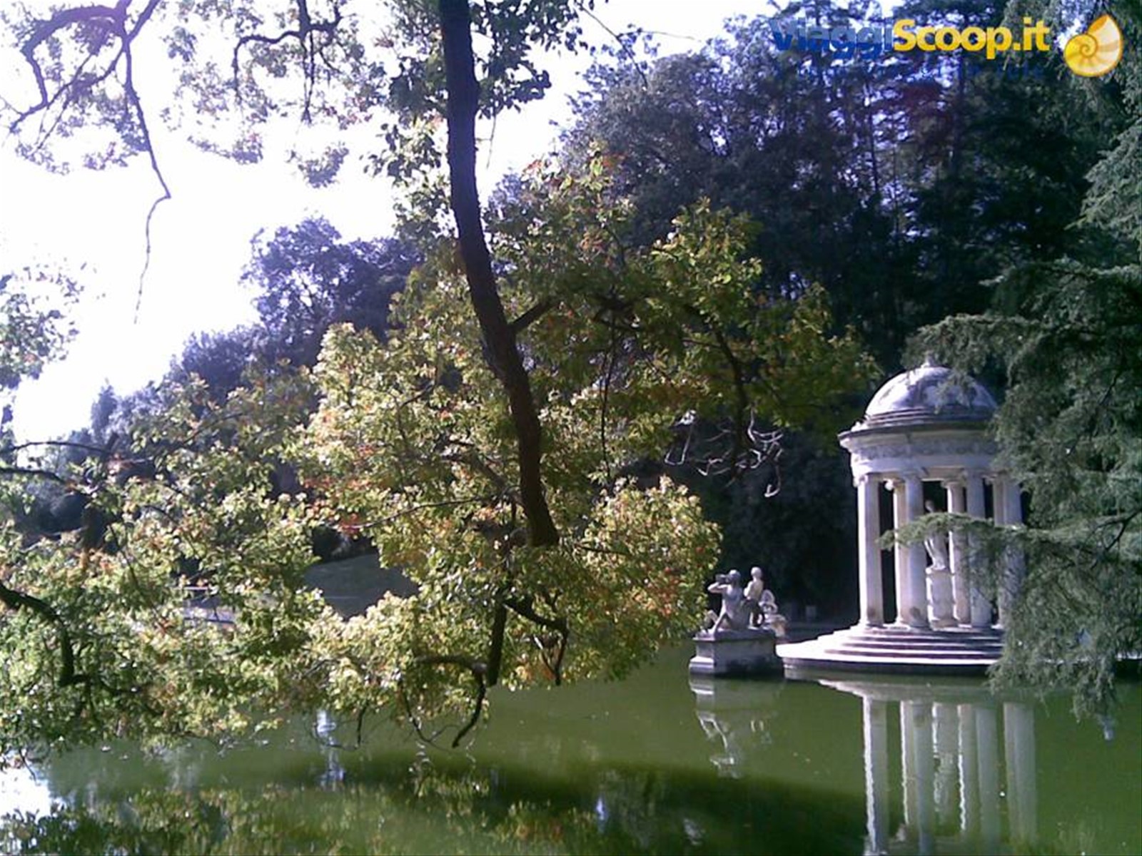 Villa Durazzo Pallavicini e le camelie in fiore