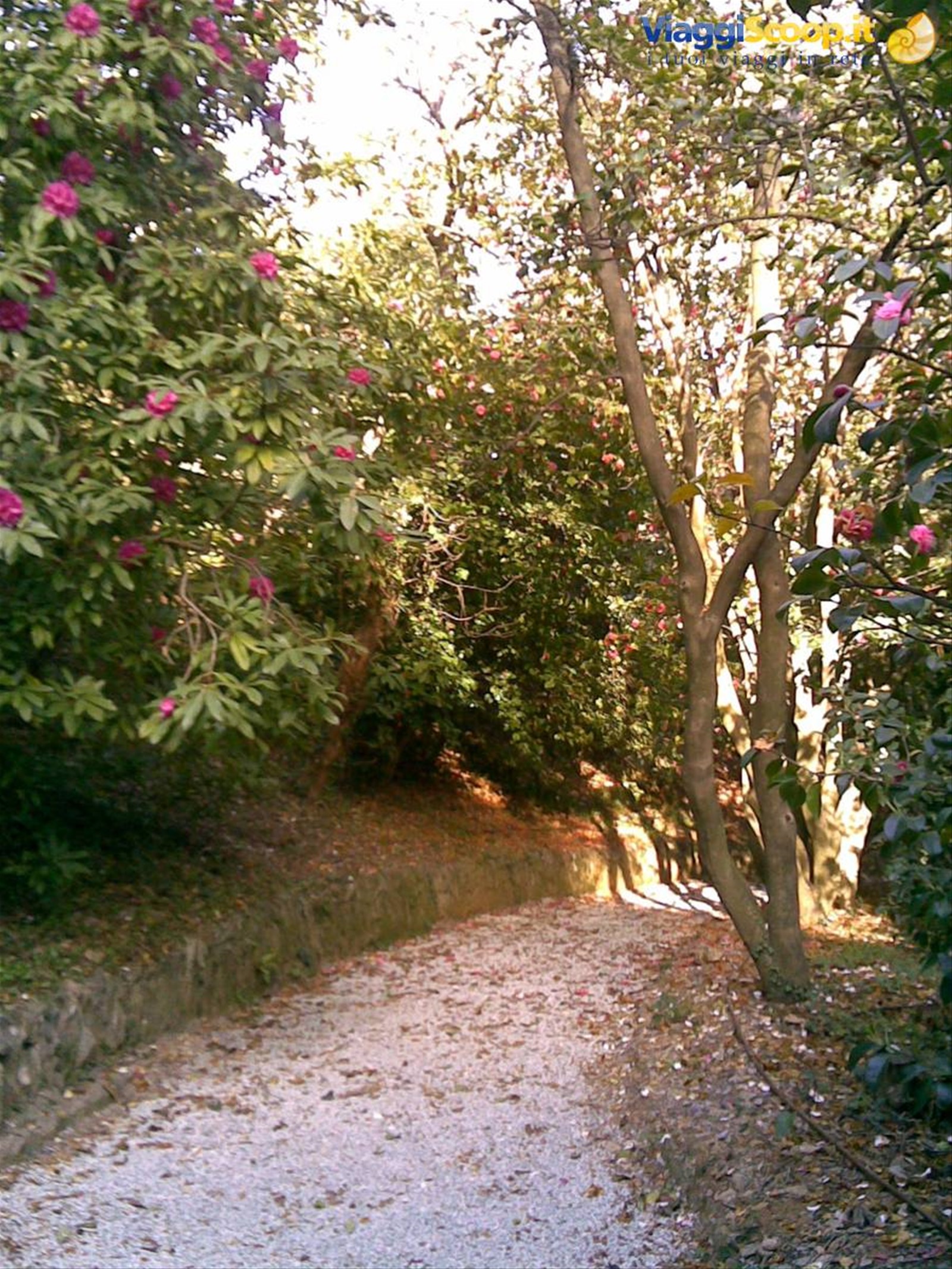Foto di viaggio in ITALIA