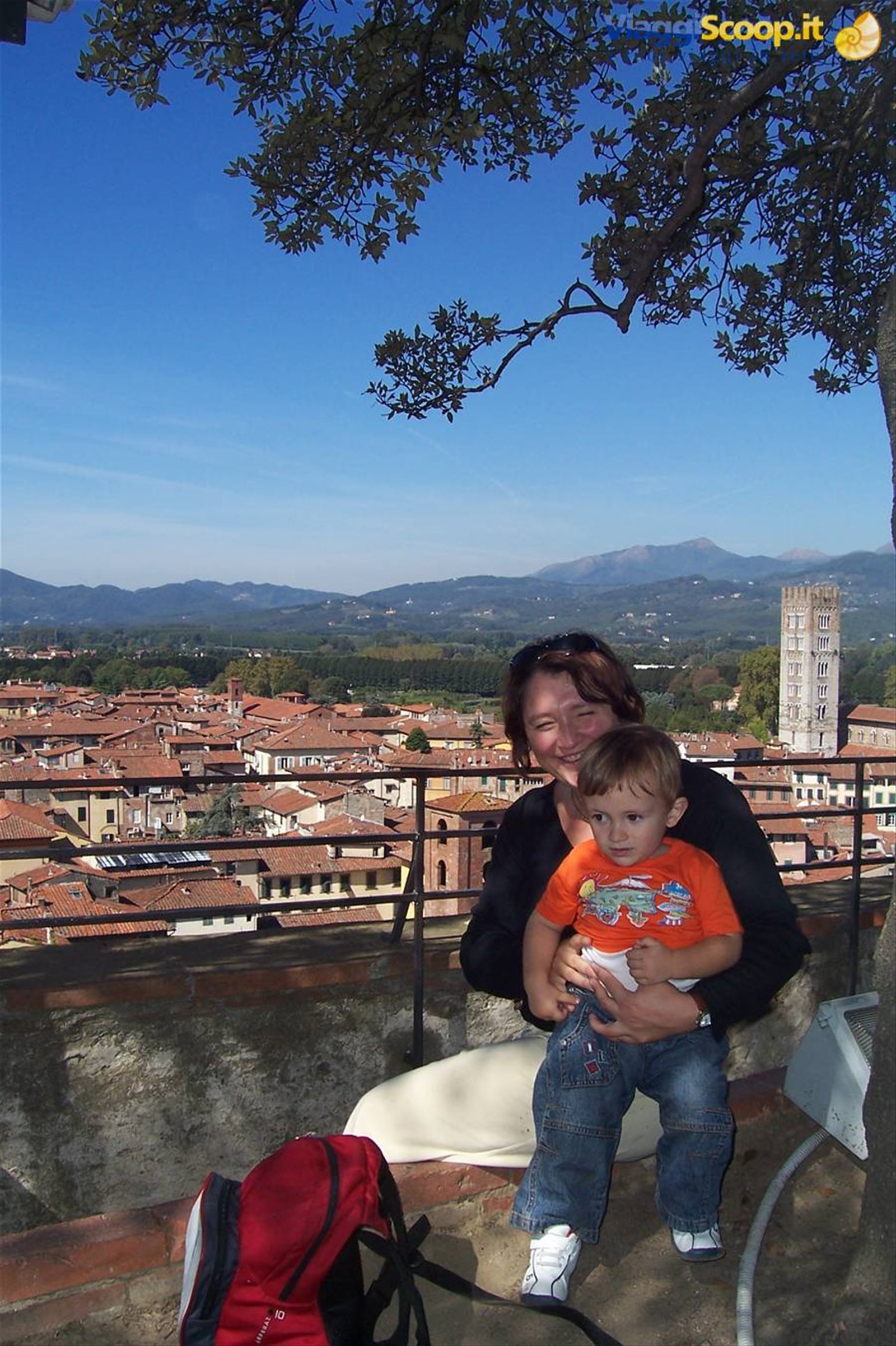 lucca,torre guinigi