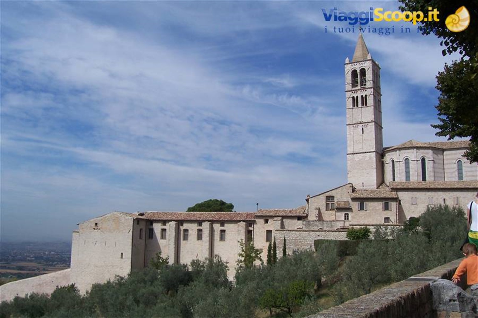 assisi