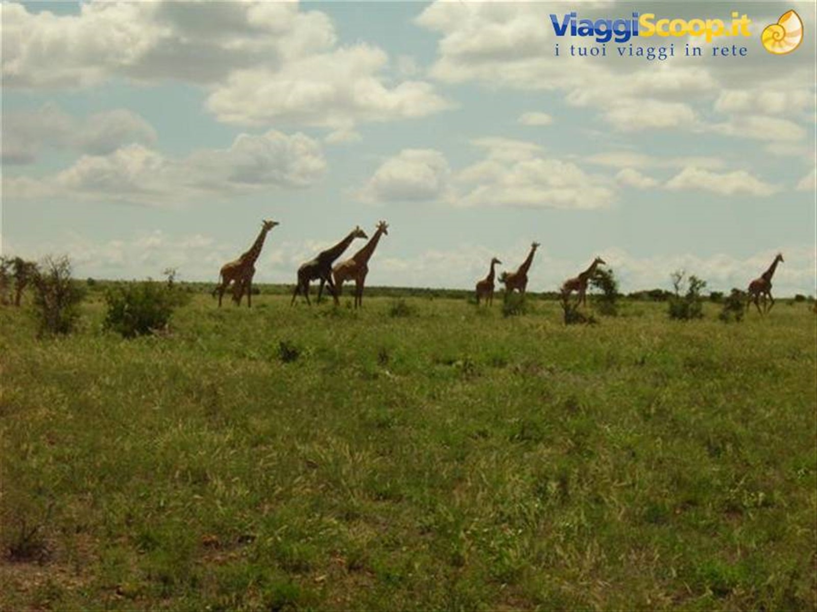 Foto di viaggio in KENYA