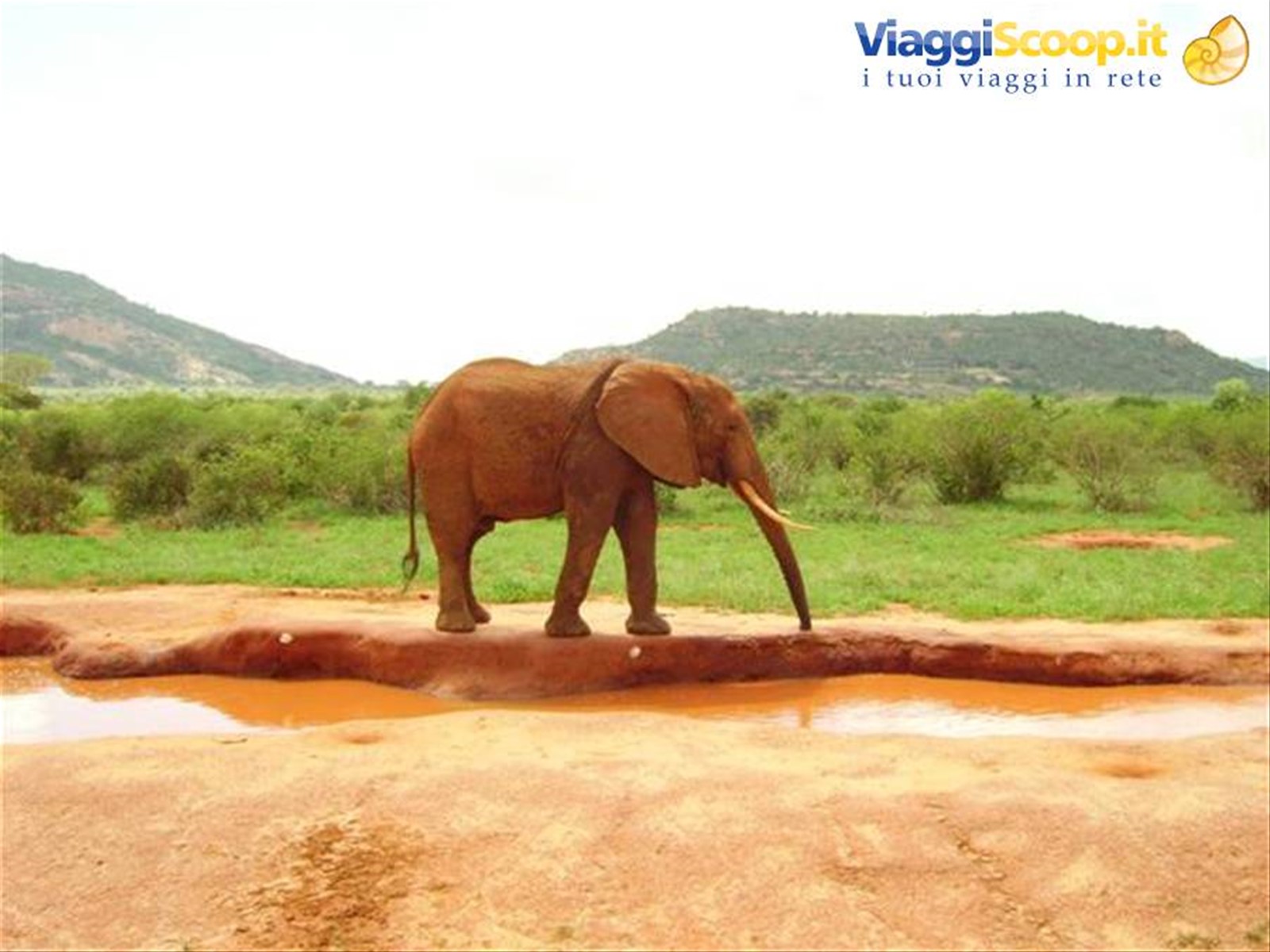 Foto di viaggio in KENYA