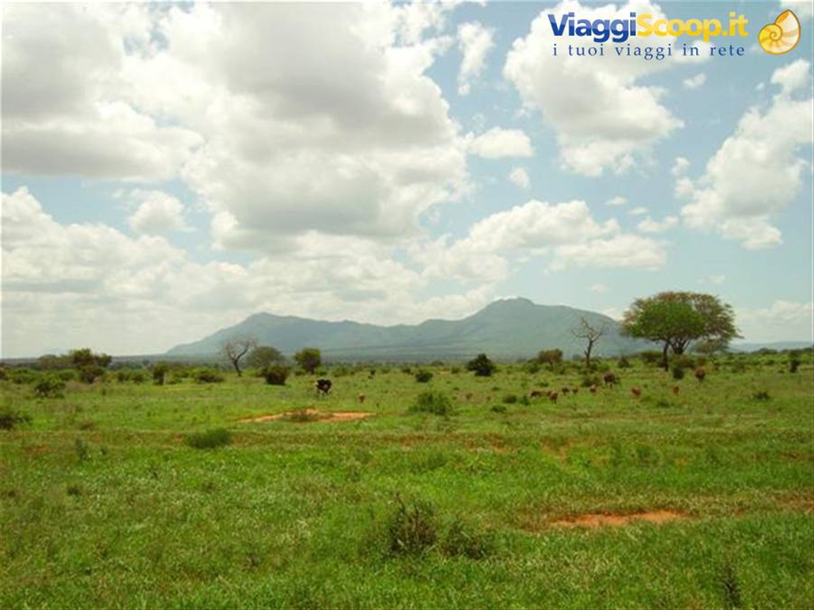 Foto di viaggio in KENYA