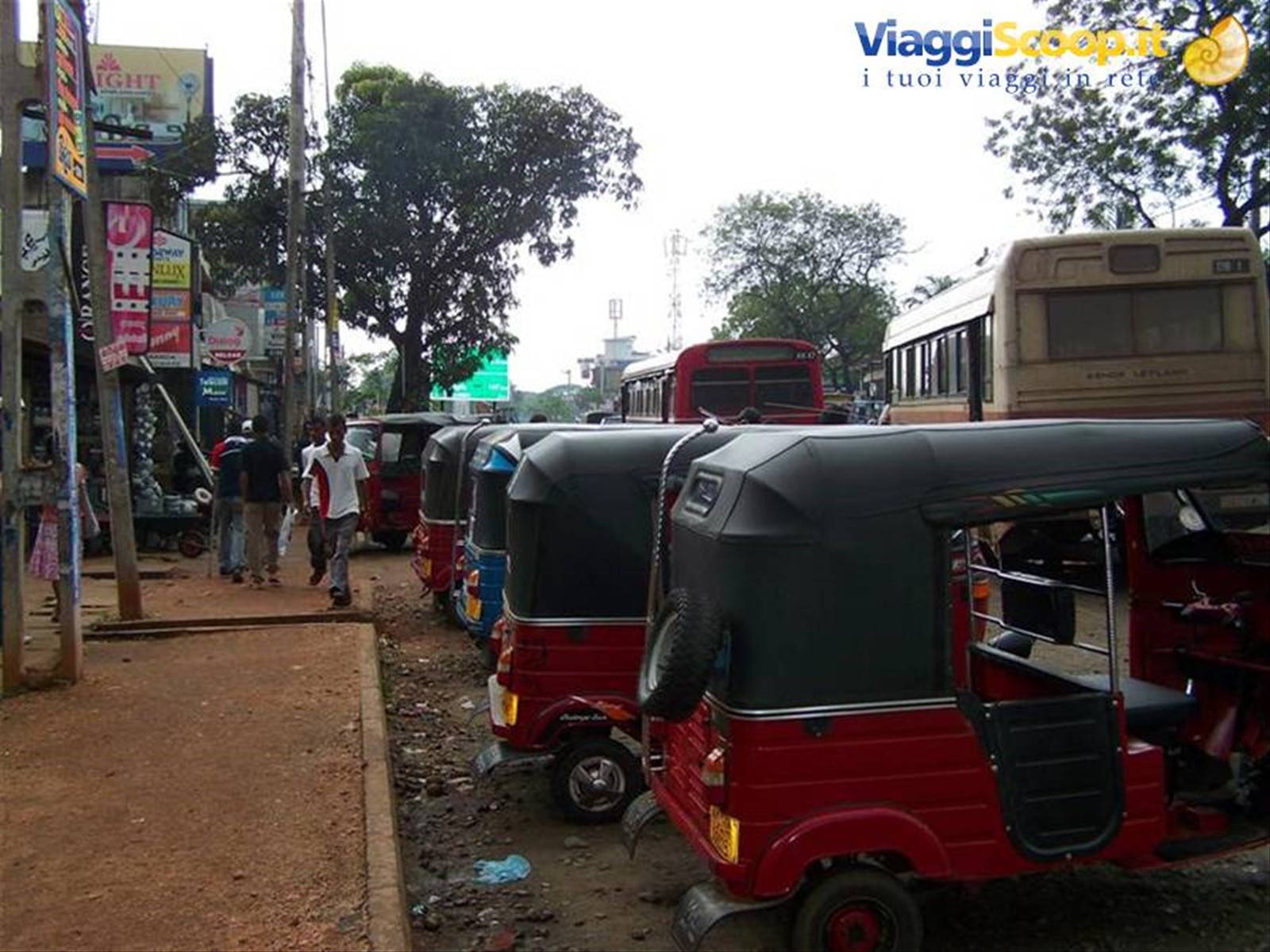 Foto di viaggio in SRI LANKA
