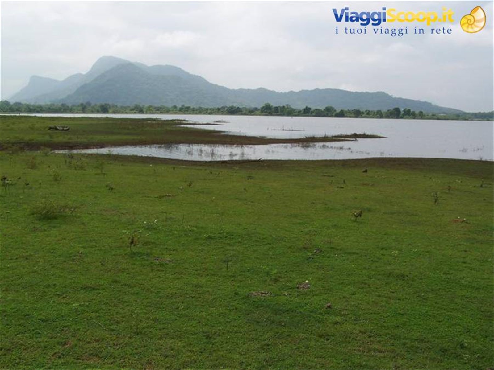 Foto di viaggio in SRI LANKA