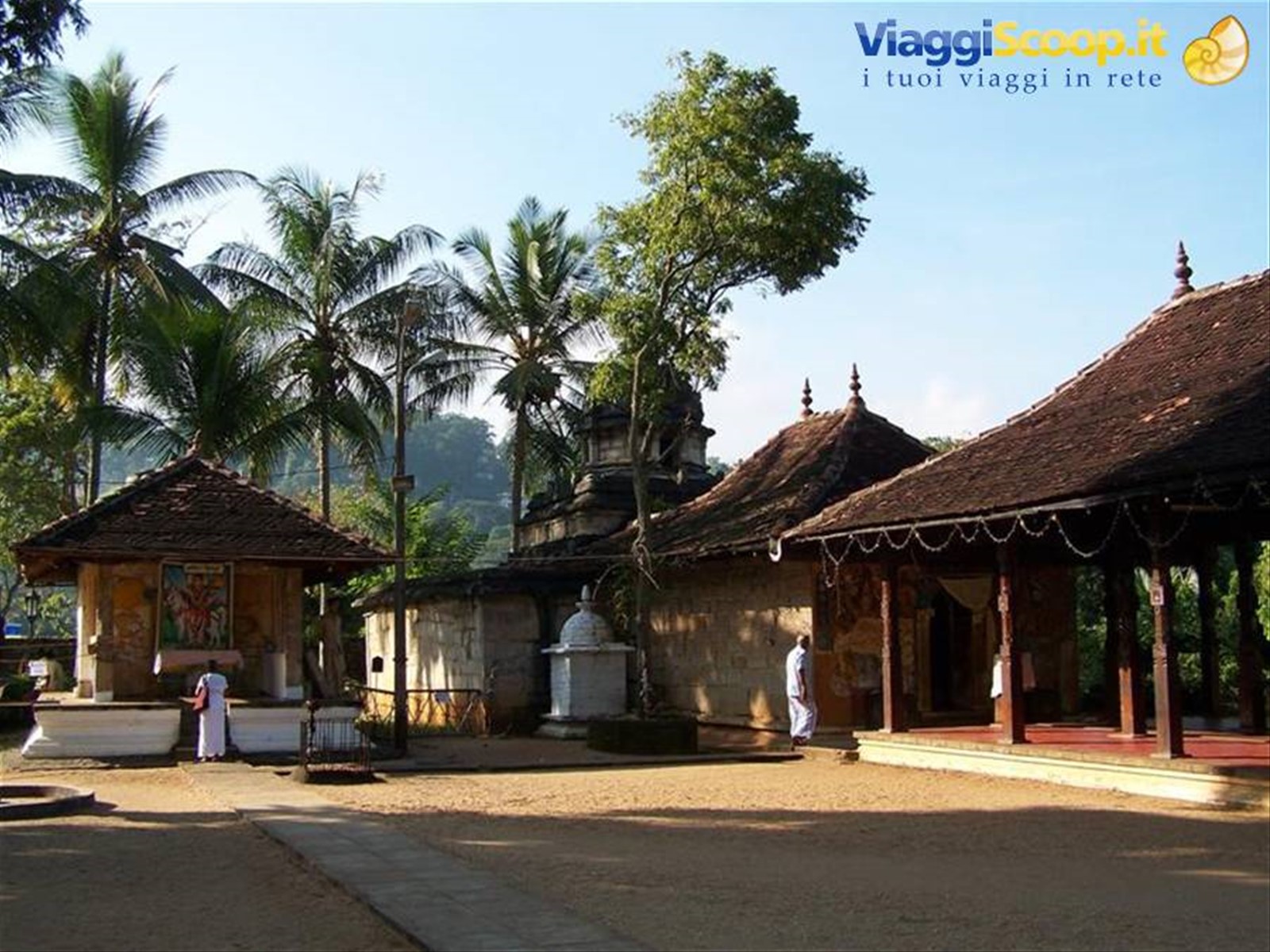 Foto di viaggio in SRI LANKA