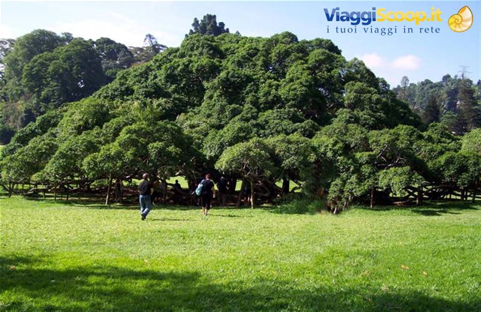 Foto di viaggio in SRI LANKA