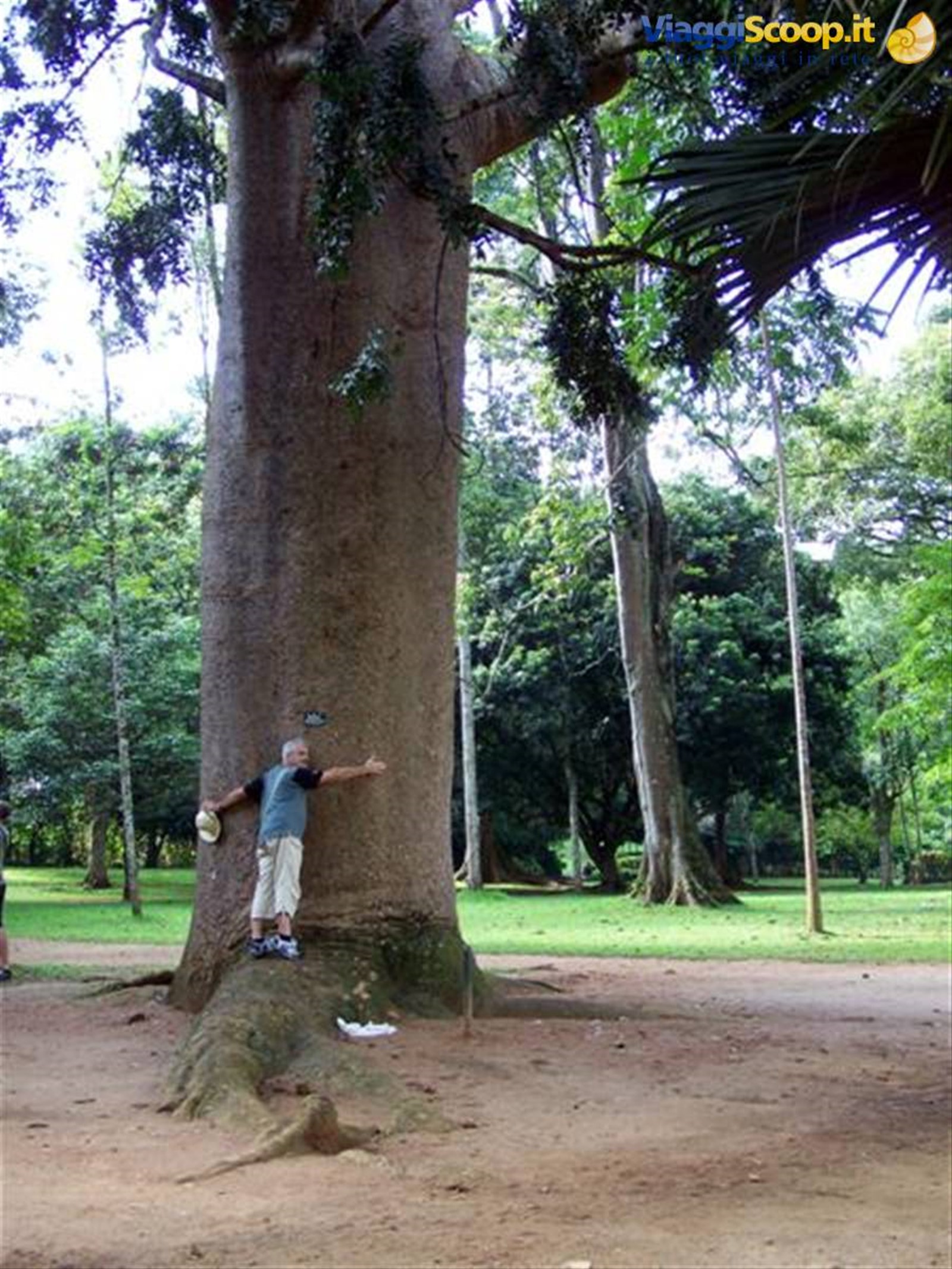 Foto di viaggio in SRI LANKA
