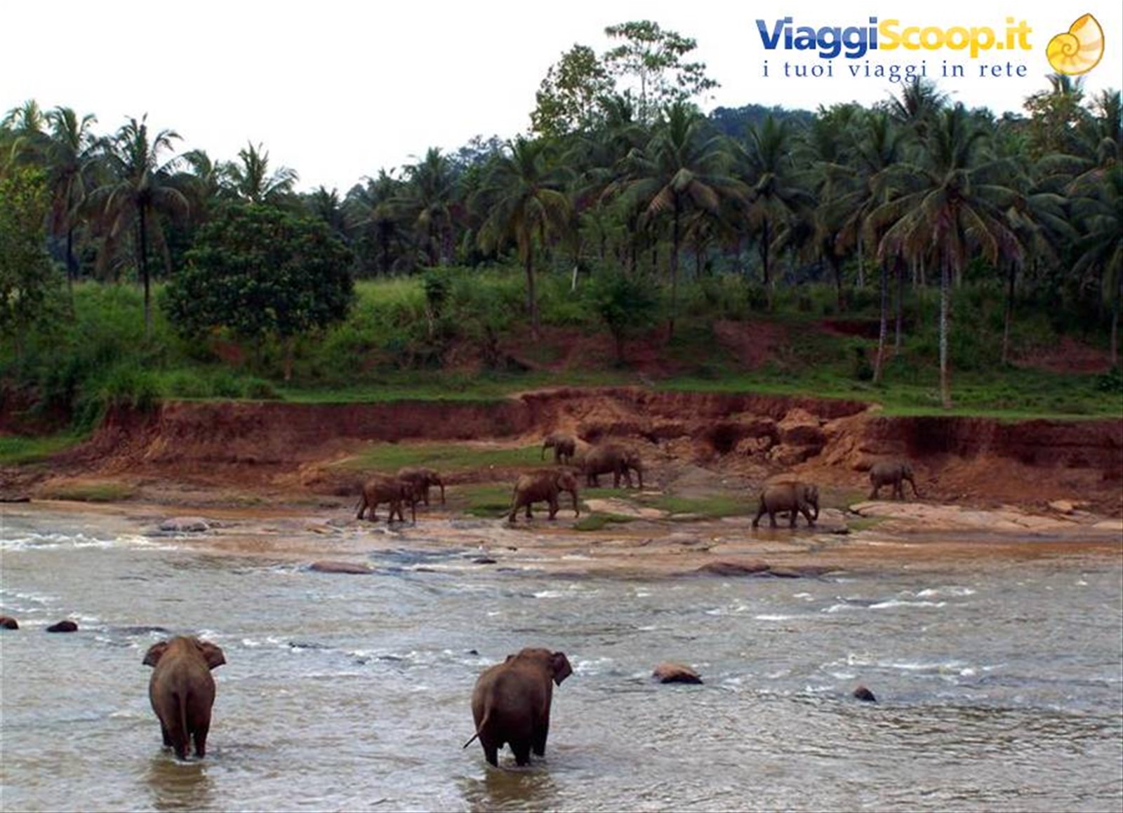 Foto di viaggio in SRI LANKA