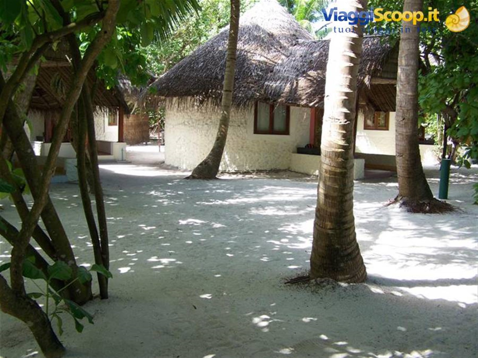 Foto di viaggio in MALDIVE
