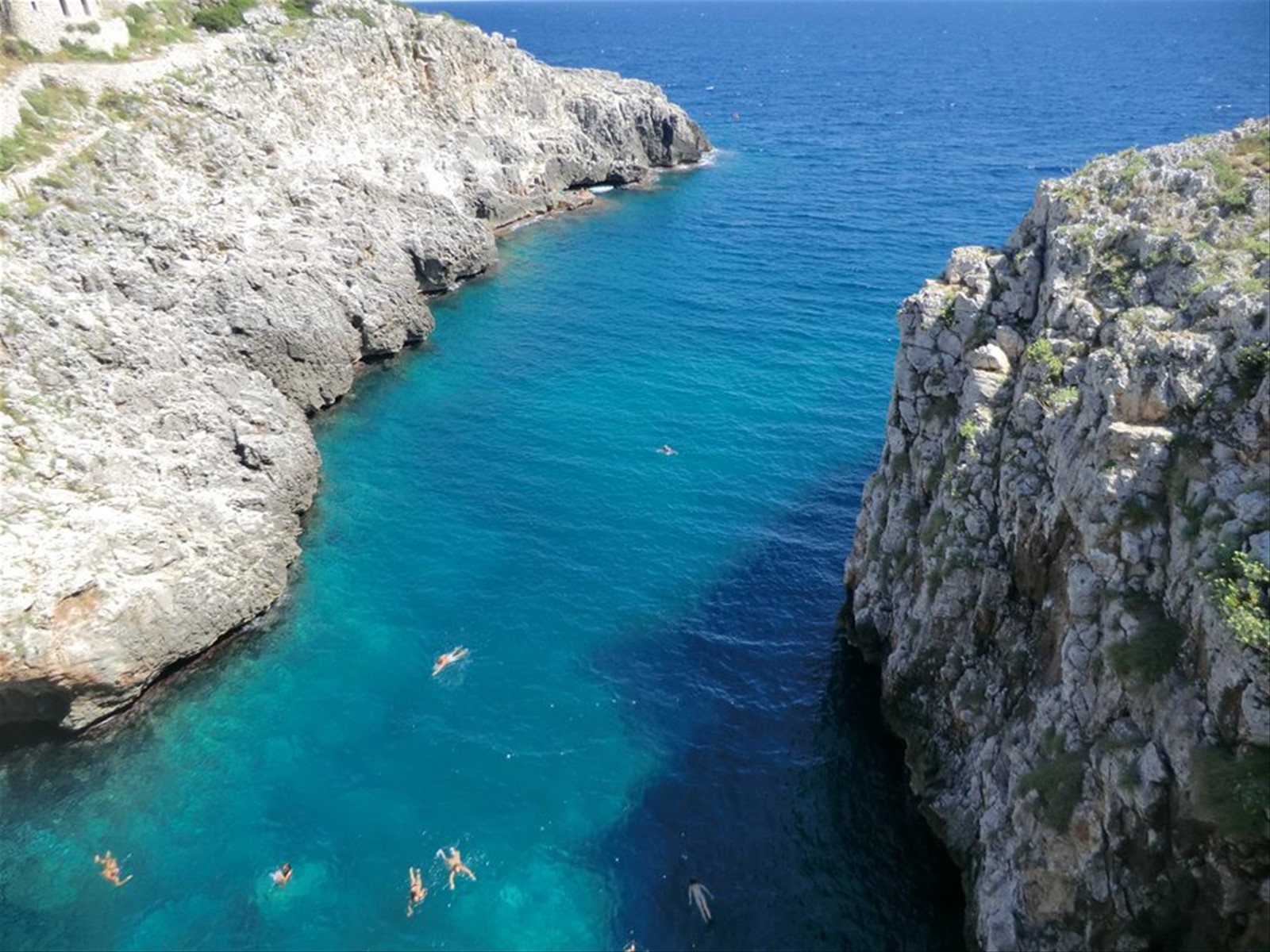Ciolo