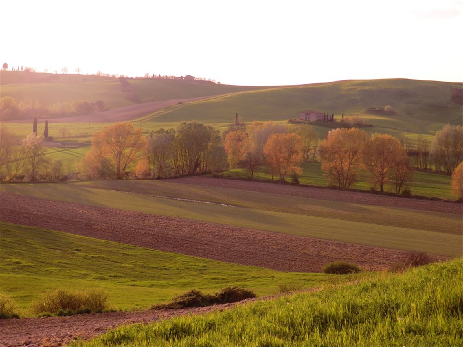 Foto di viaggio in ITALIA