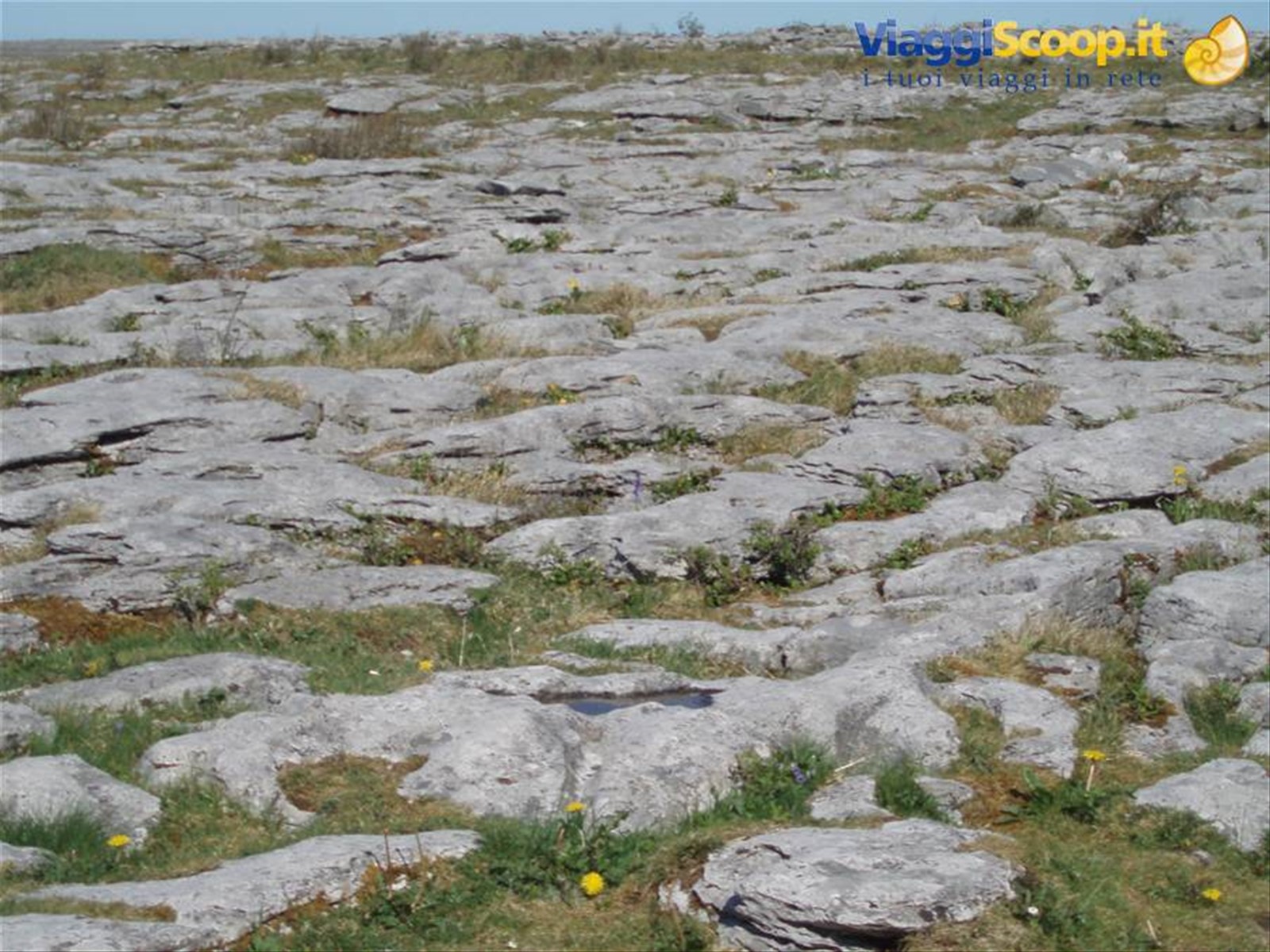 Burren