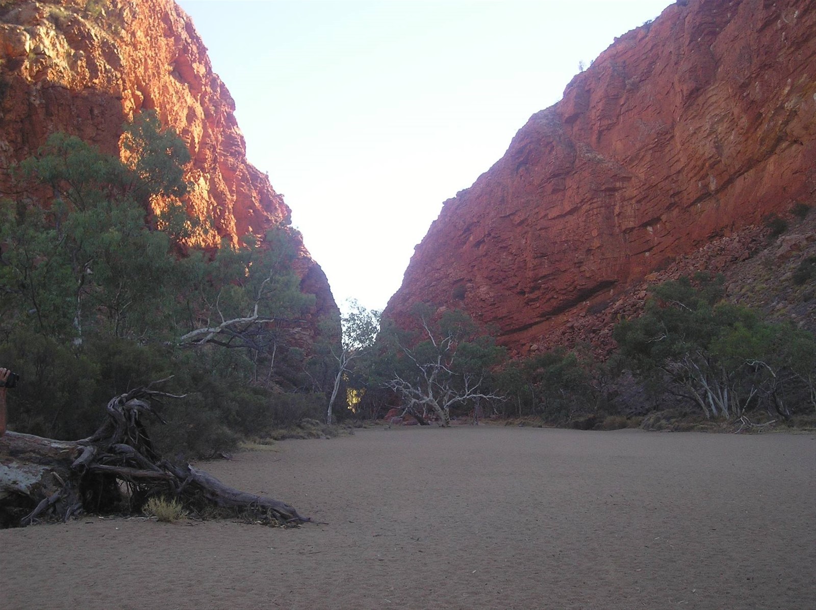 Foto di viaggio in AUSTRALIA