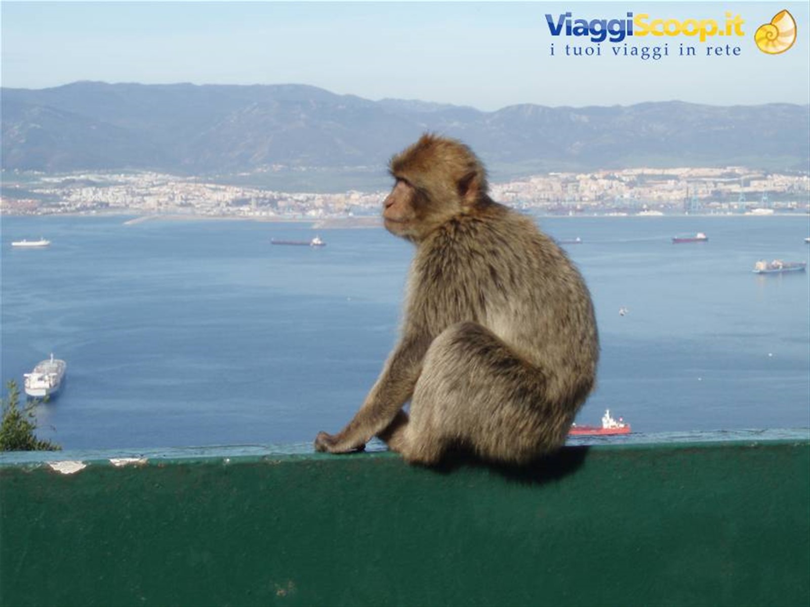 Foto di viaggio in SPAGNA