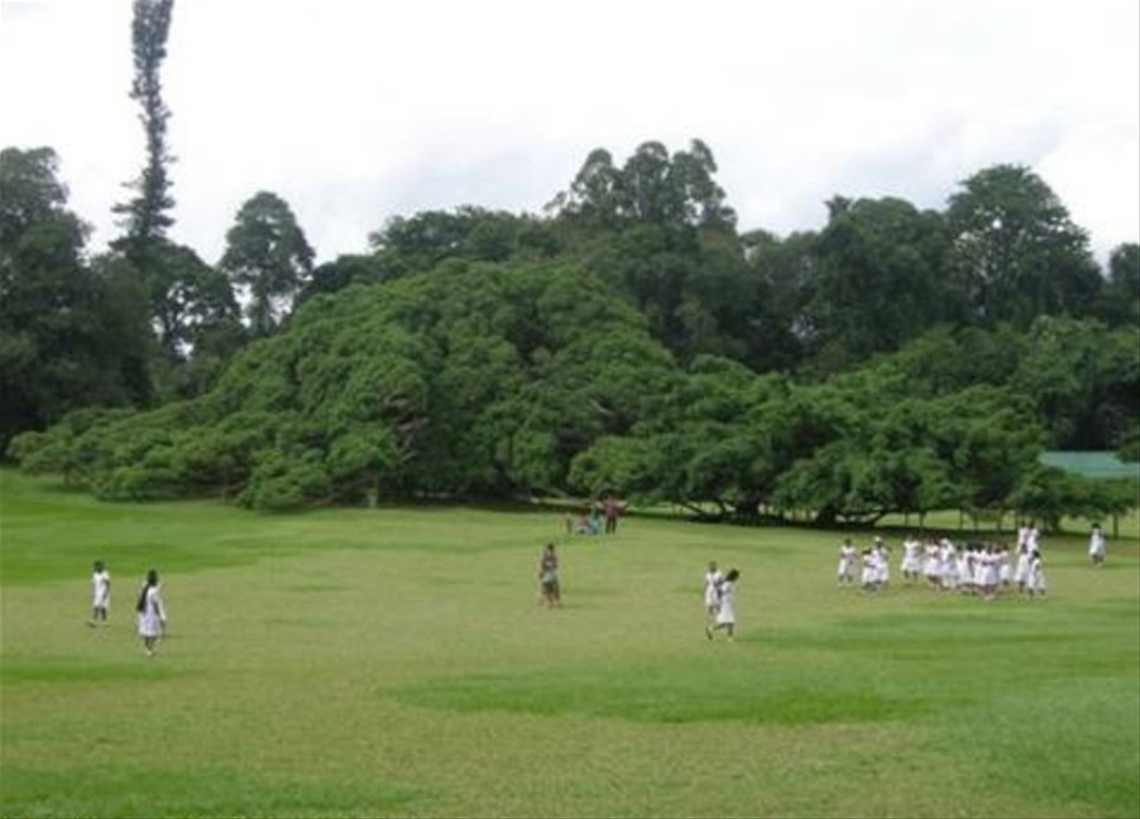 Orto Botanico il Bengiamin