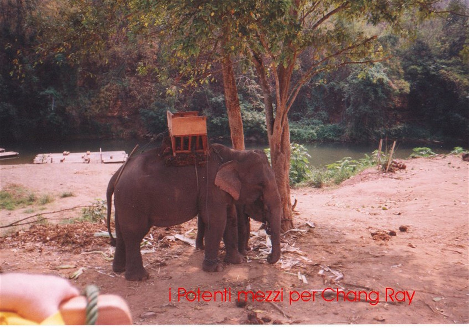 Foto di viaggio in TAILANDIA