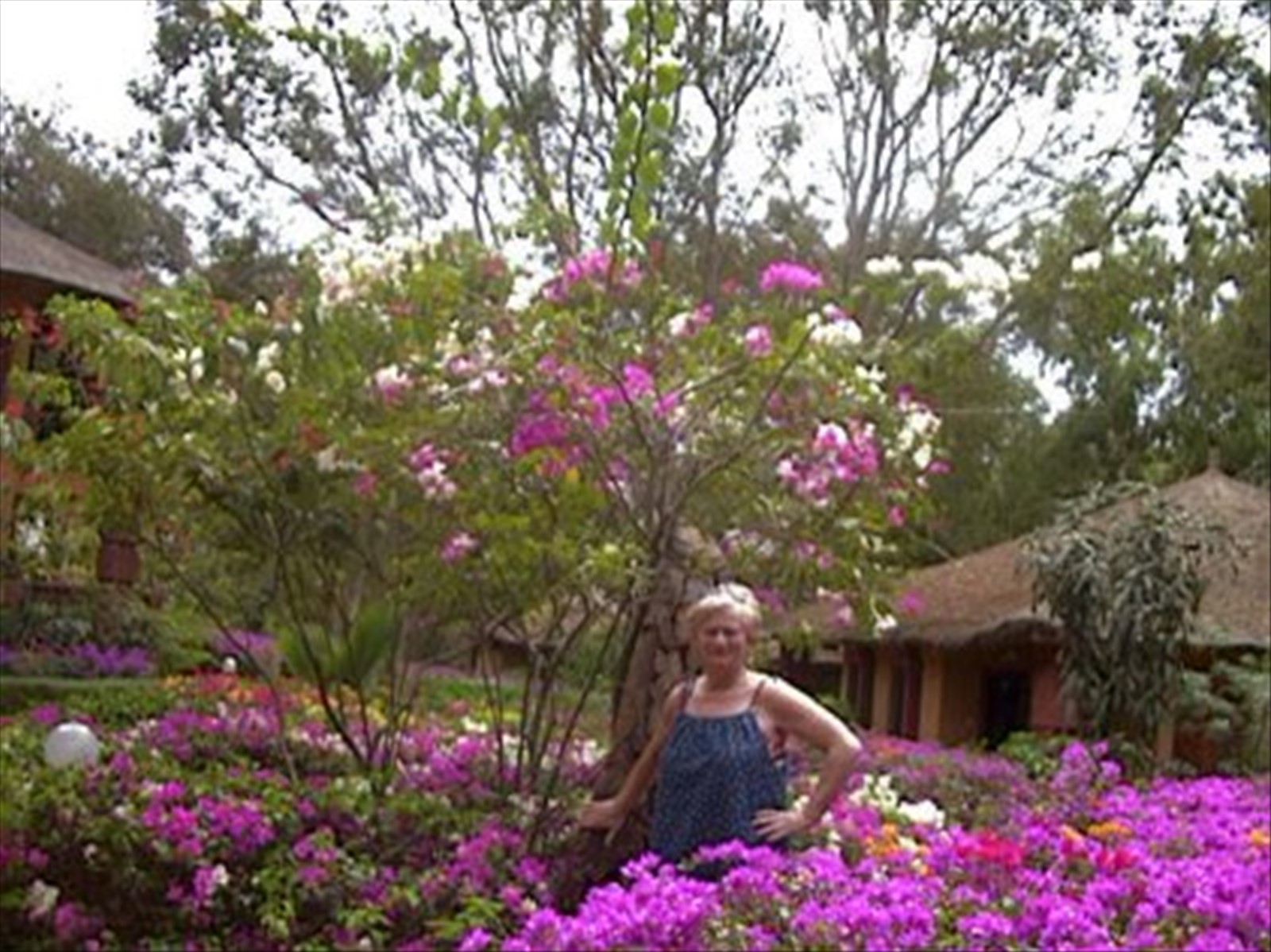 Foto di viaggio in SENEGAL