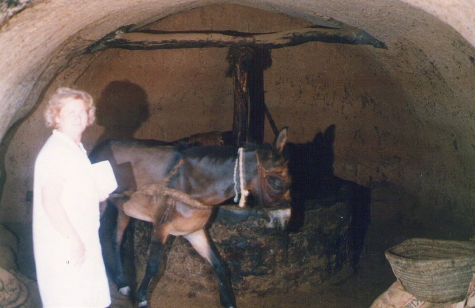 Foto di viaggio in TUNISIA