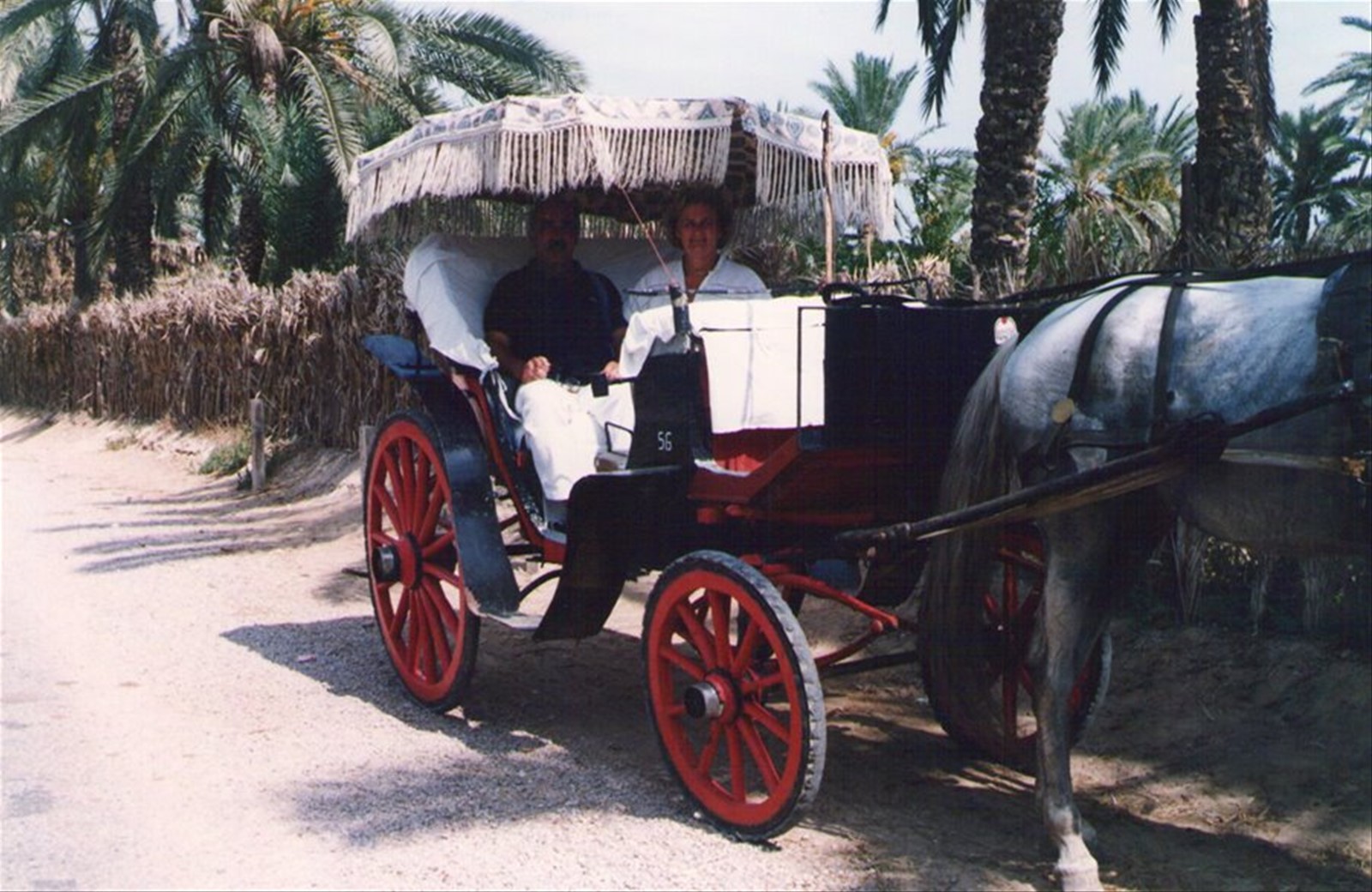 Foto di viaggio in TUNISIA