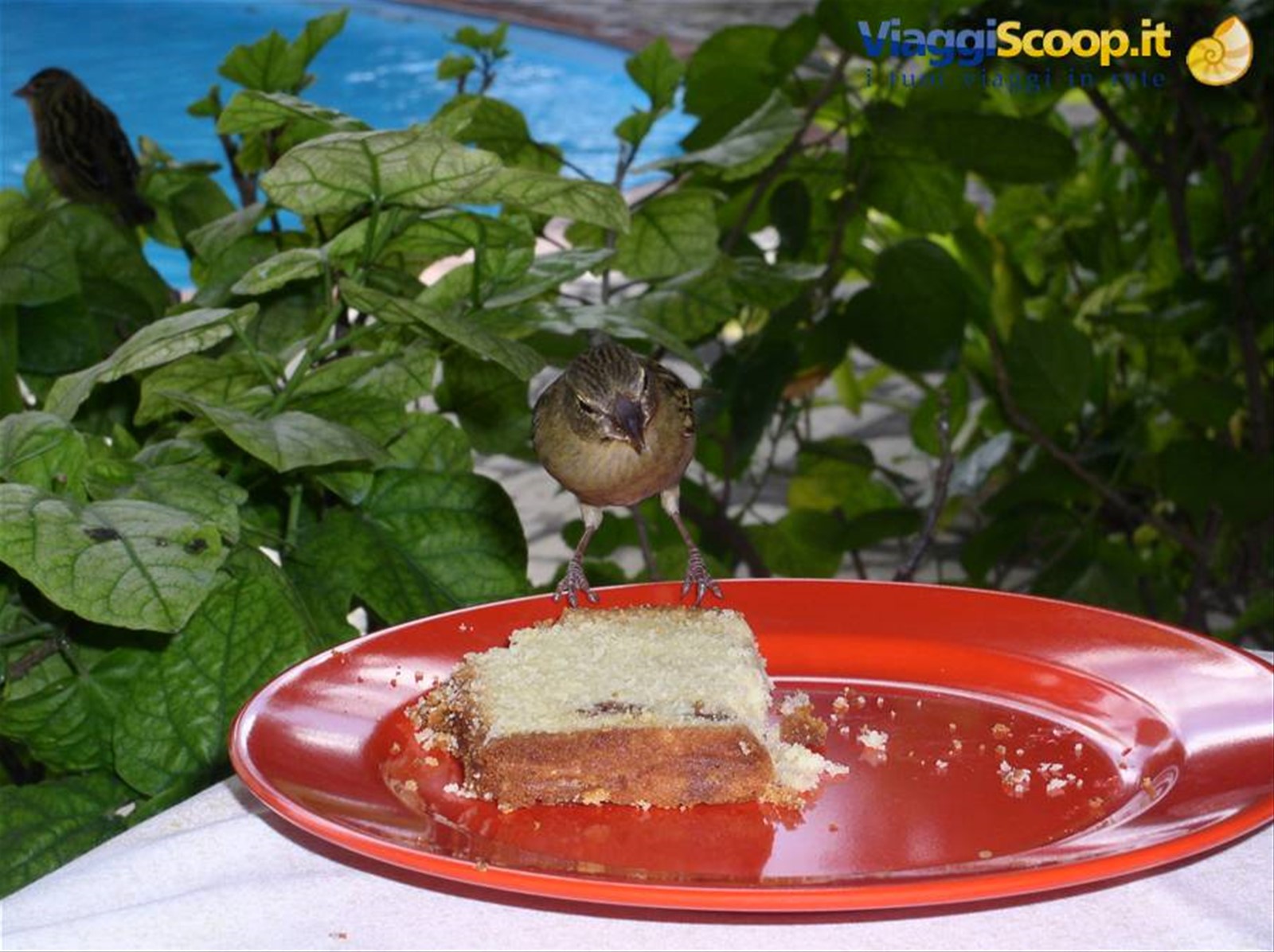 anche lui deve mangiare