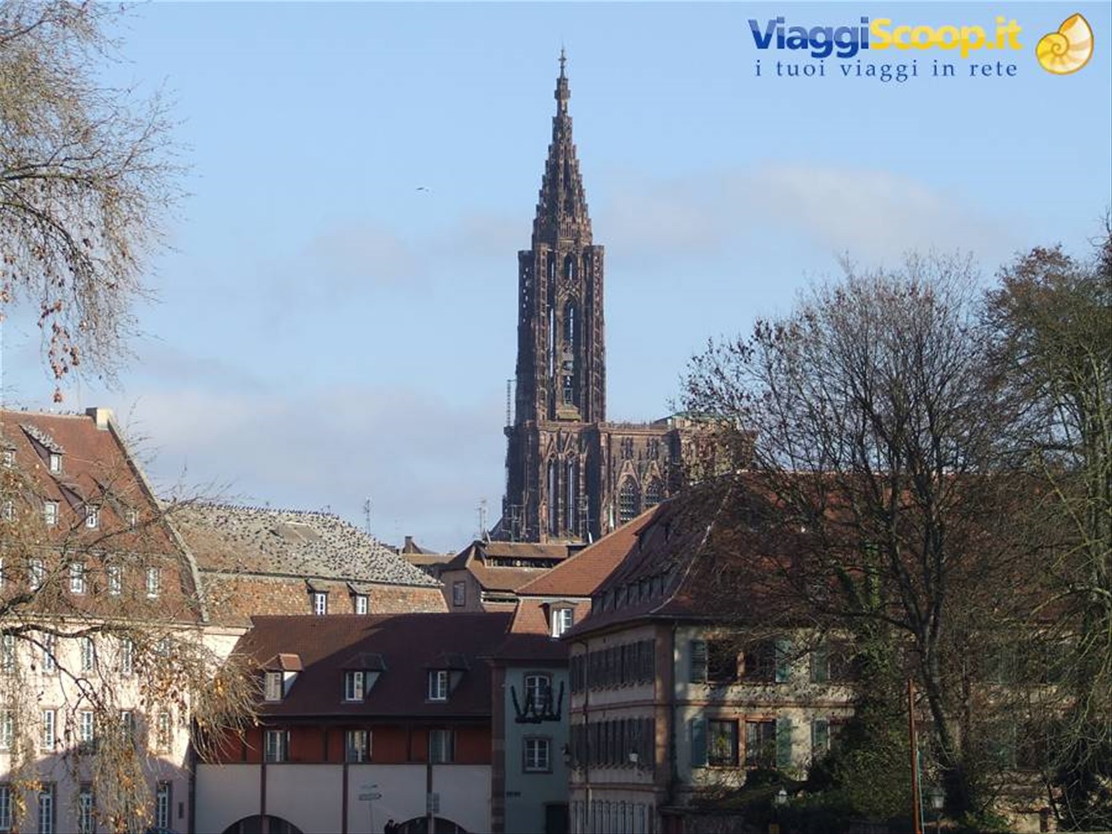 STRASBURGO - Il campanile della Cattedrale dalla Petite France